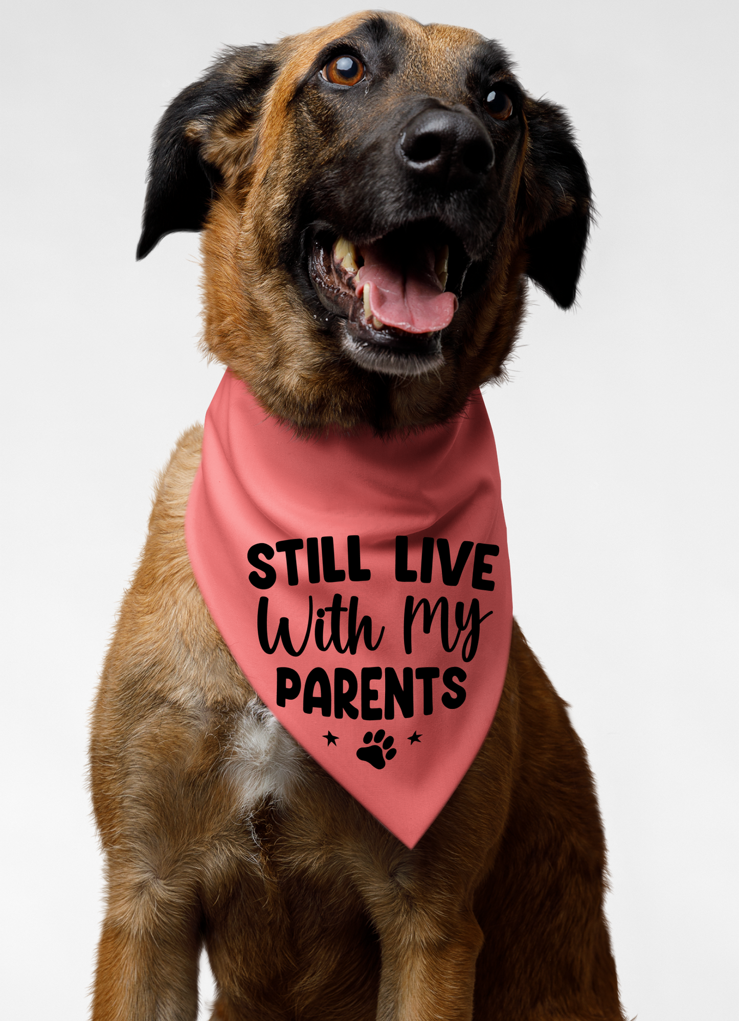 Still Live with My Parents: Detachable Collar Dog Bandana