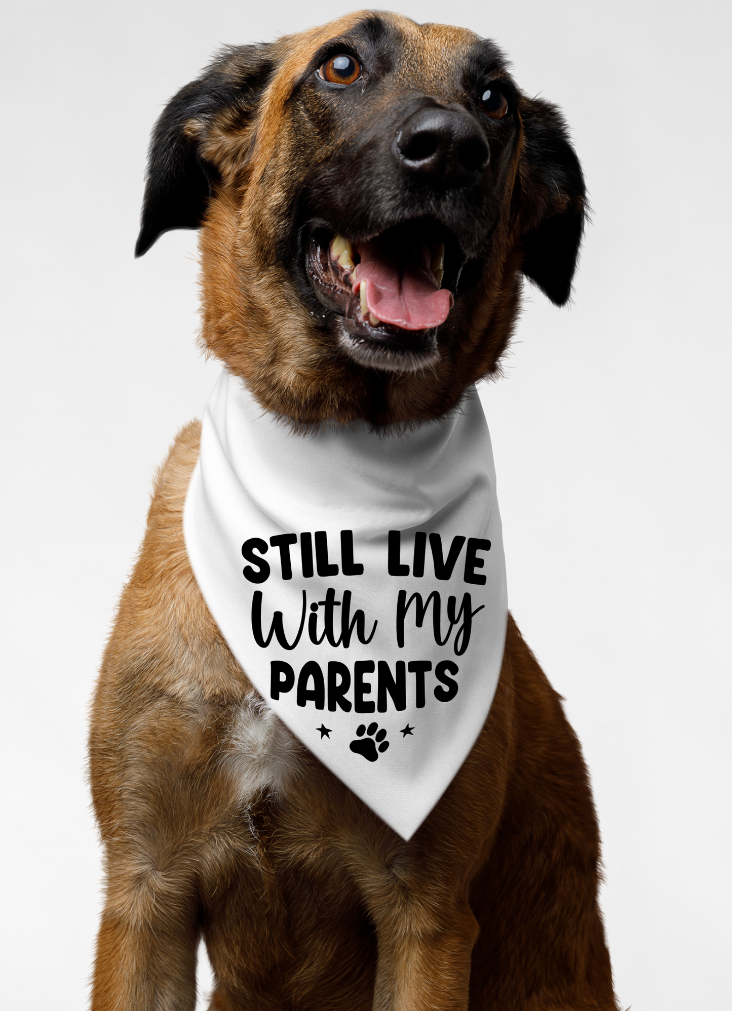 Still Live with My Parents: Detachable Collar Dog Bandana