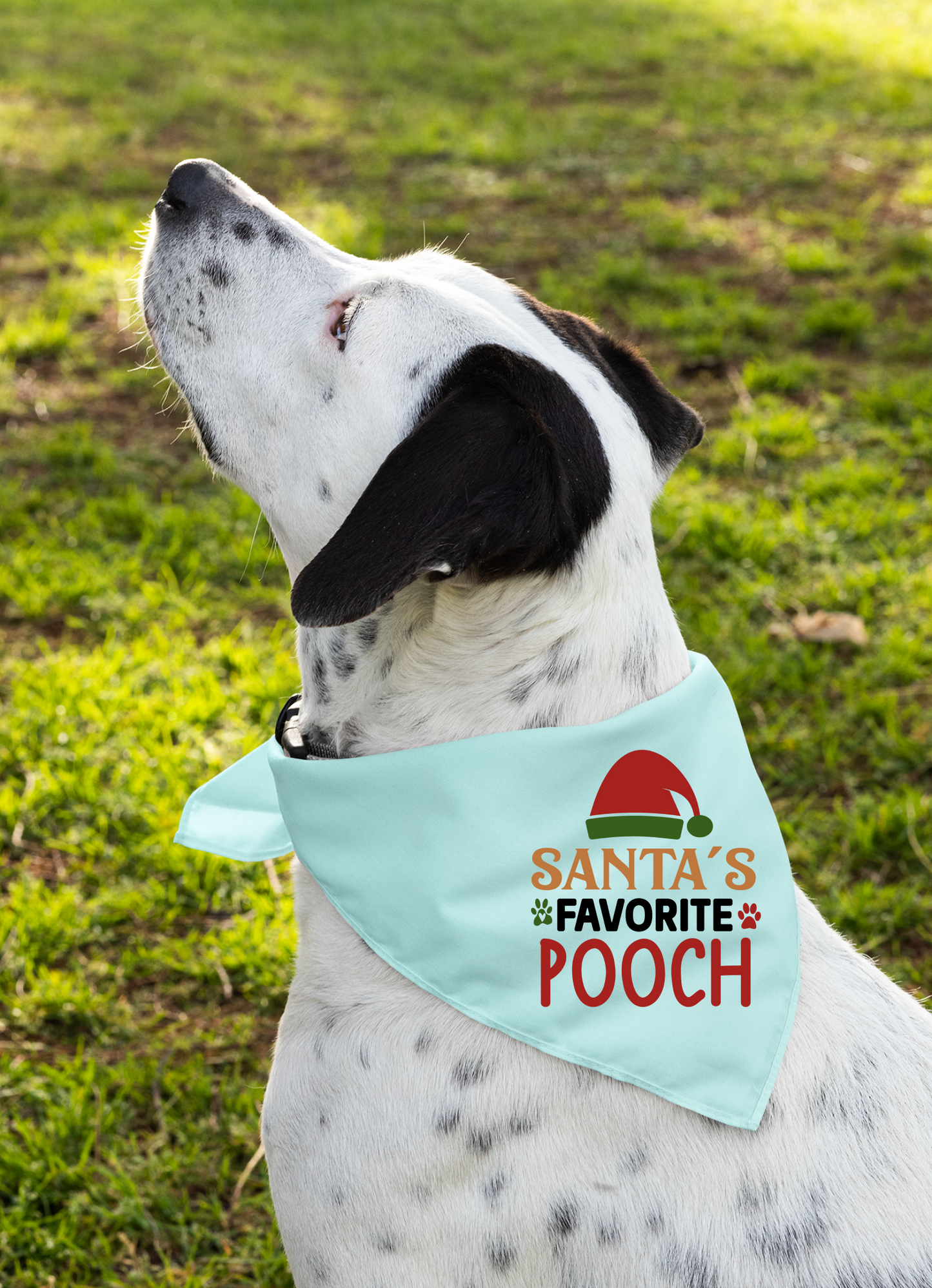 Santa's Favorite Pooch - Festive Dog Bandana