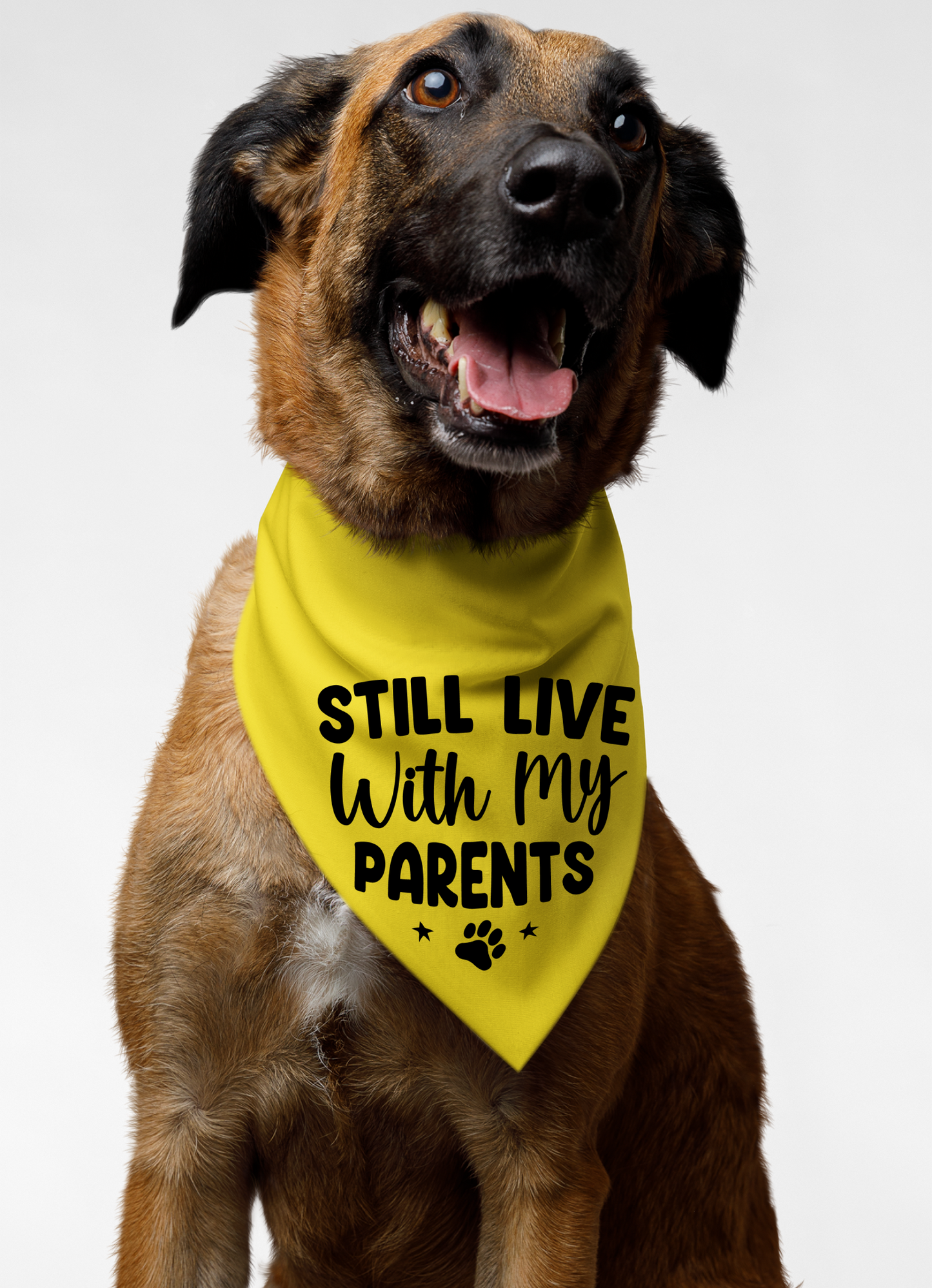 Still Live with My Parents: Detachable Collar Dog Bandana