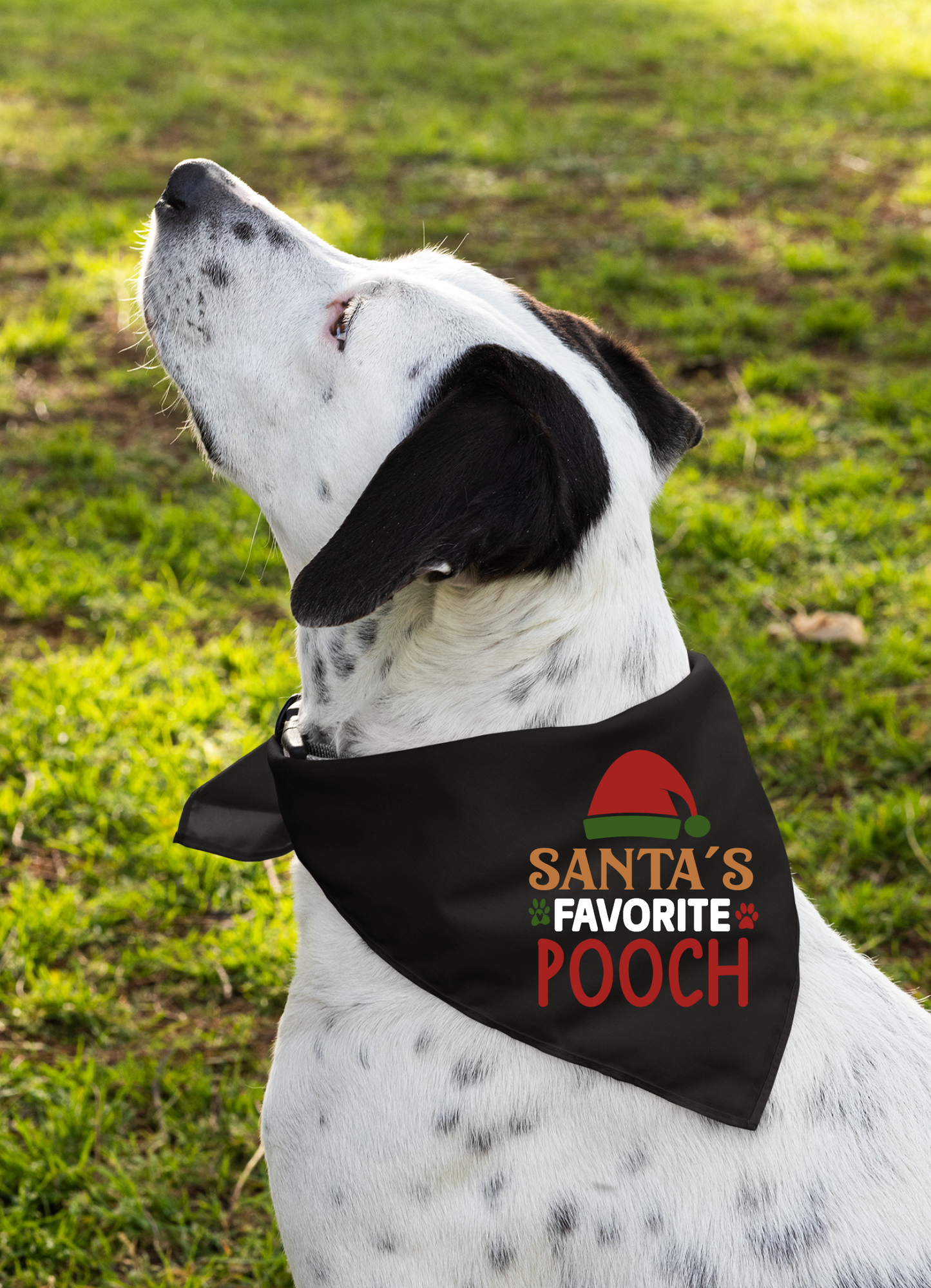 Santa's Favorite Pooch - Festive Dog Bandana
