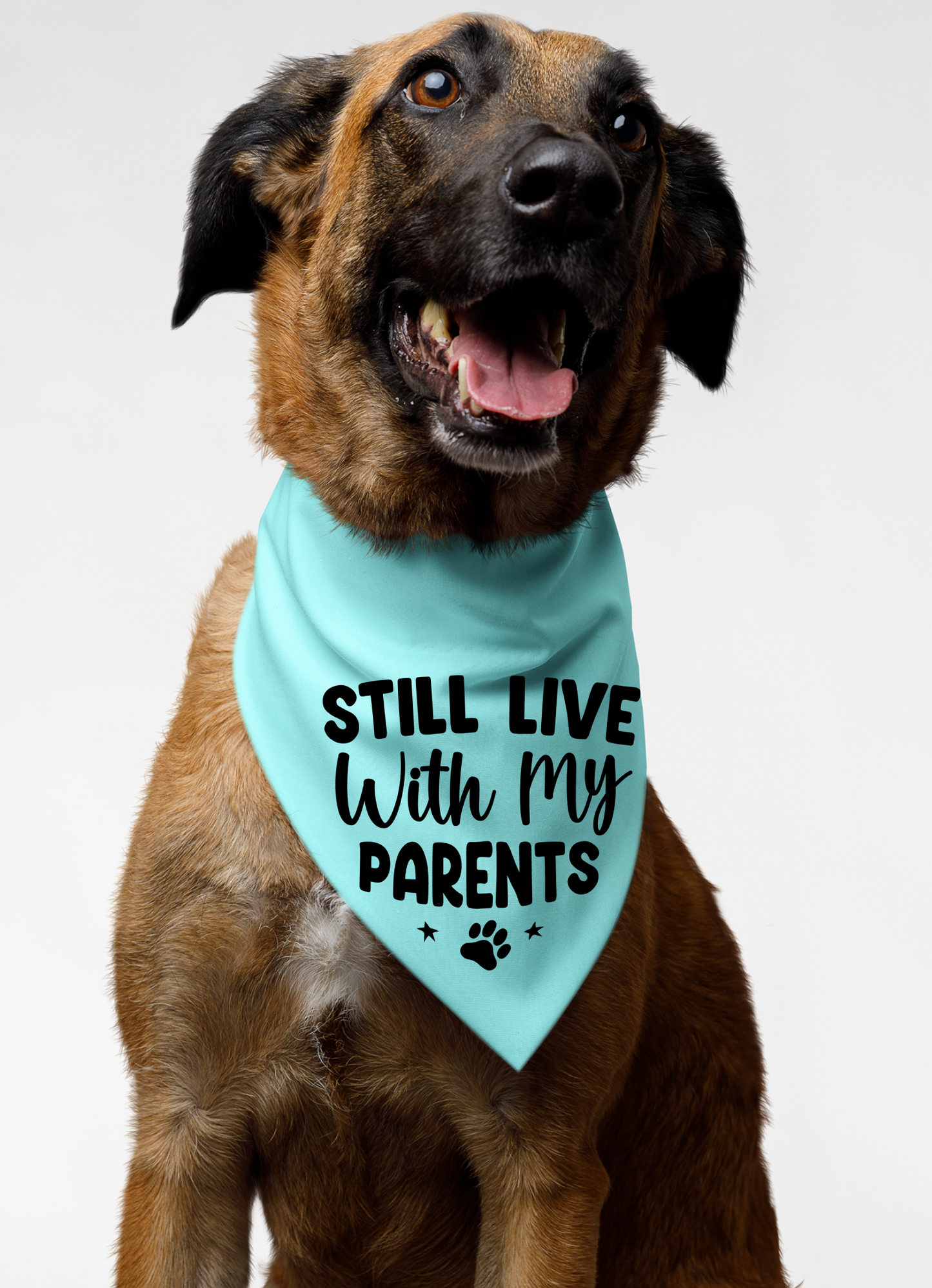 Still Live with My Parents: Detachable Collar Dog Bandana