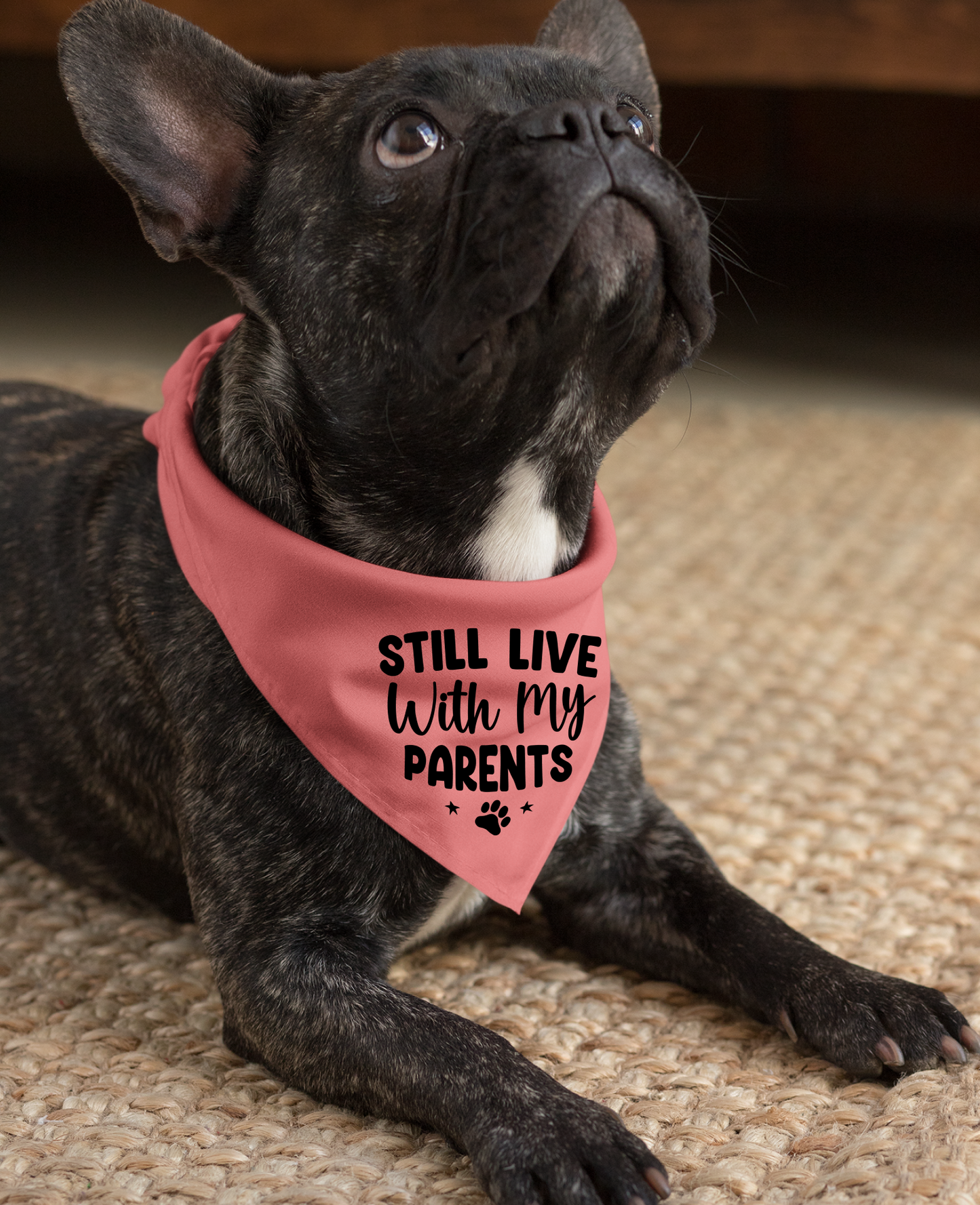 Still Live with My Parents: Detachable Collar Dog Bandana