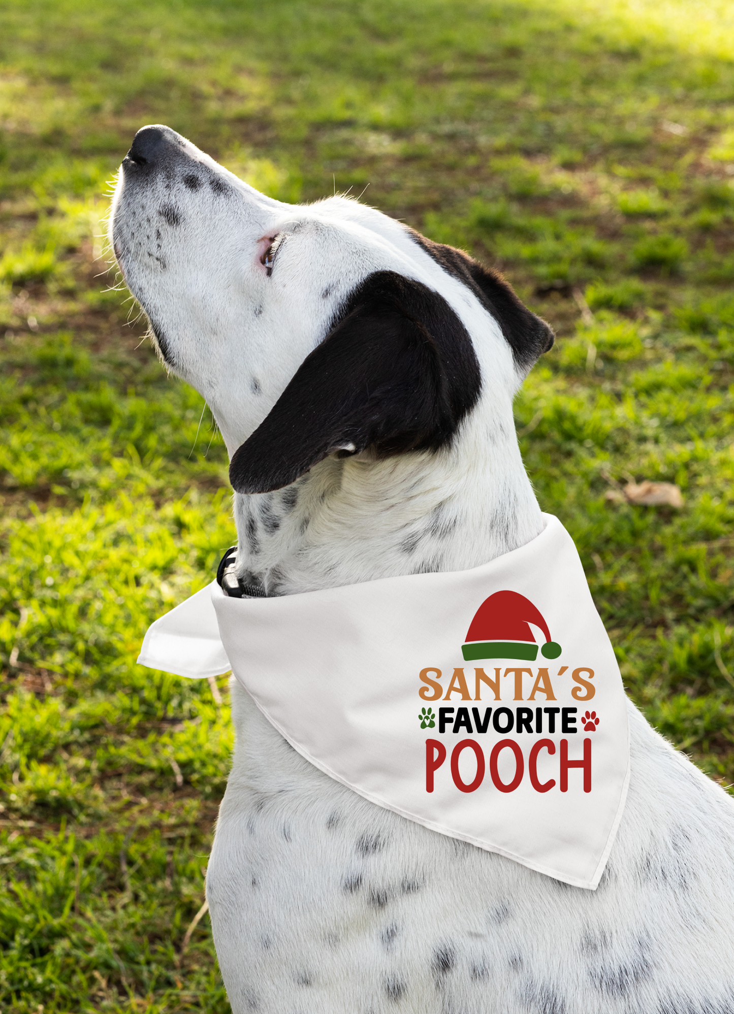 Santa's Favorite Pooch - Festive Dog Bandana