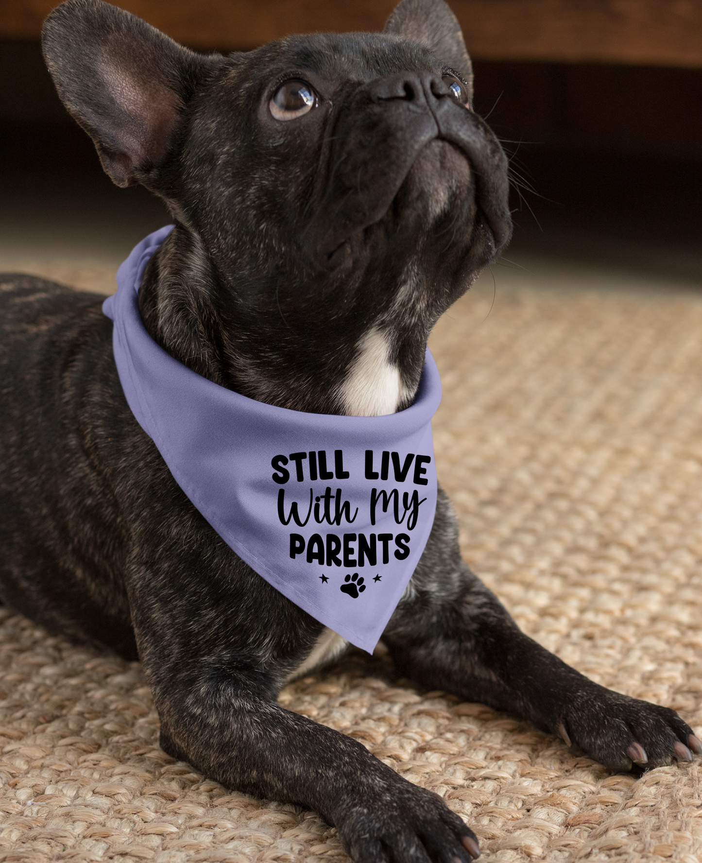 Still Live with My Parents: Detachable Collar Dog Bandana