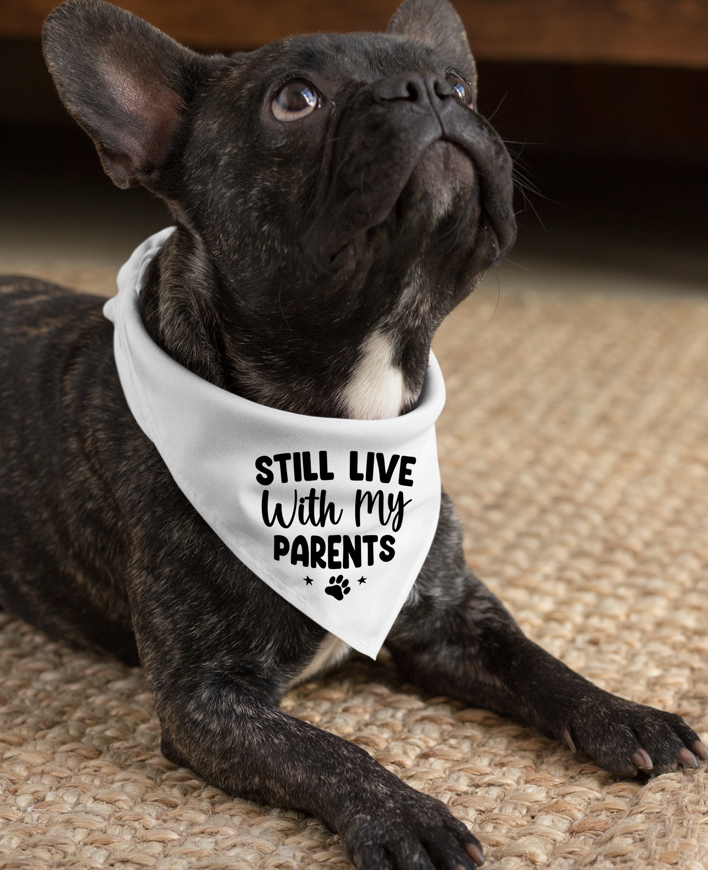 Still Live with My Parents: Detachable Collar Dog Bandana