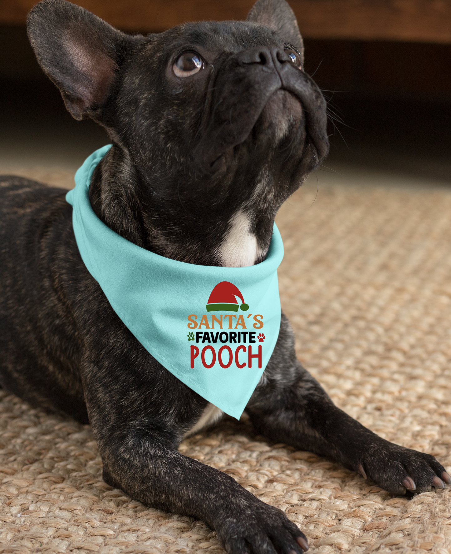 Santa's Favorite Pooch - Festive Dog Bandana