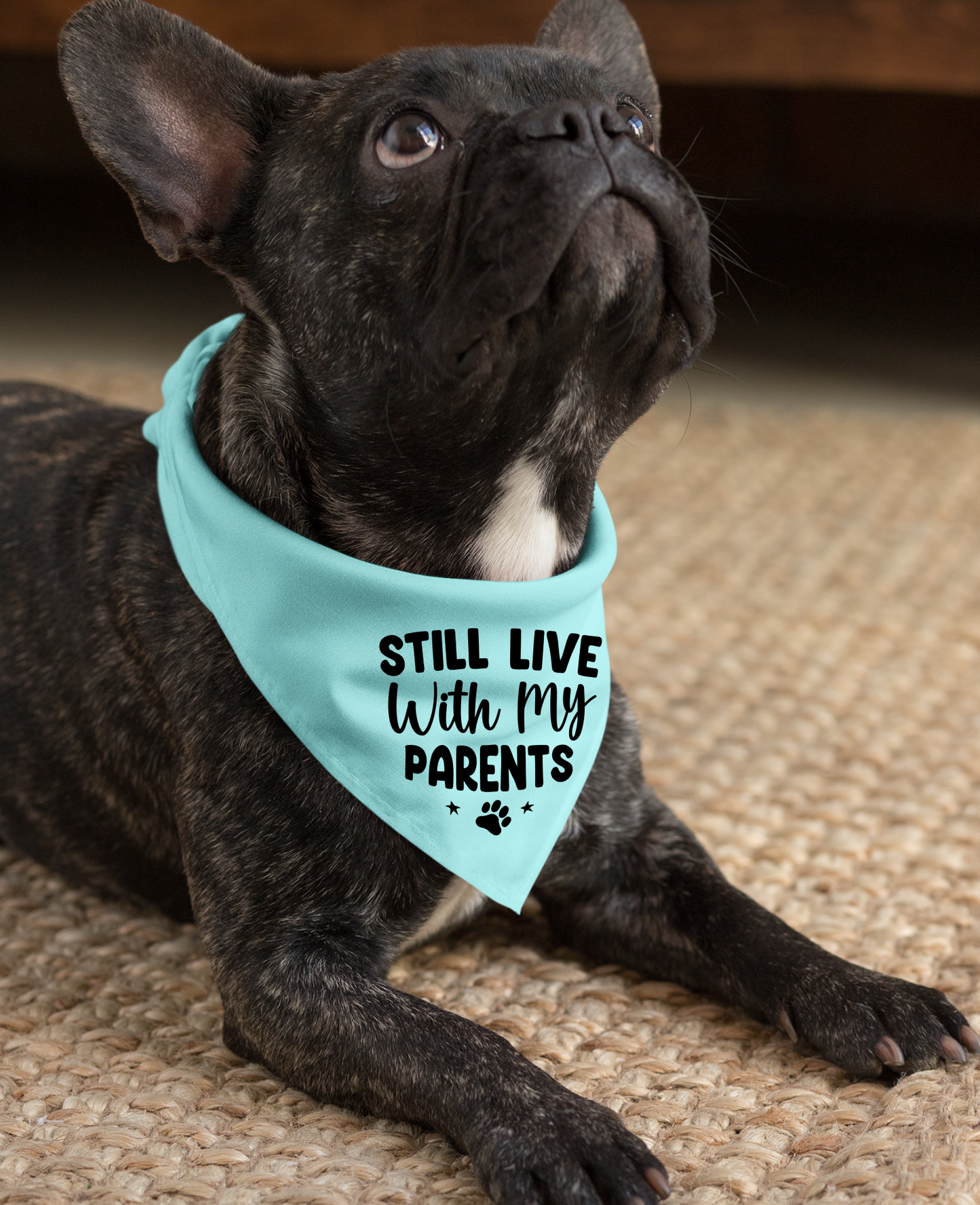 Still Live with My Parents: Detachable Collar Dog Bandana