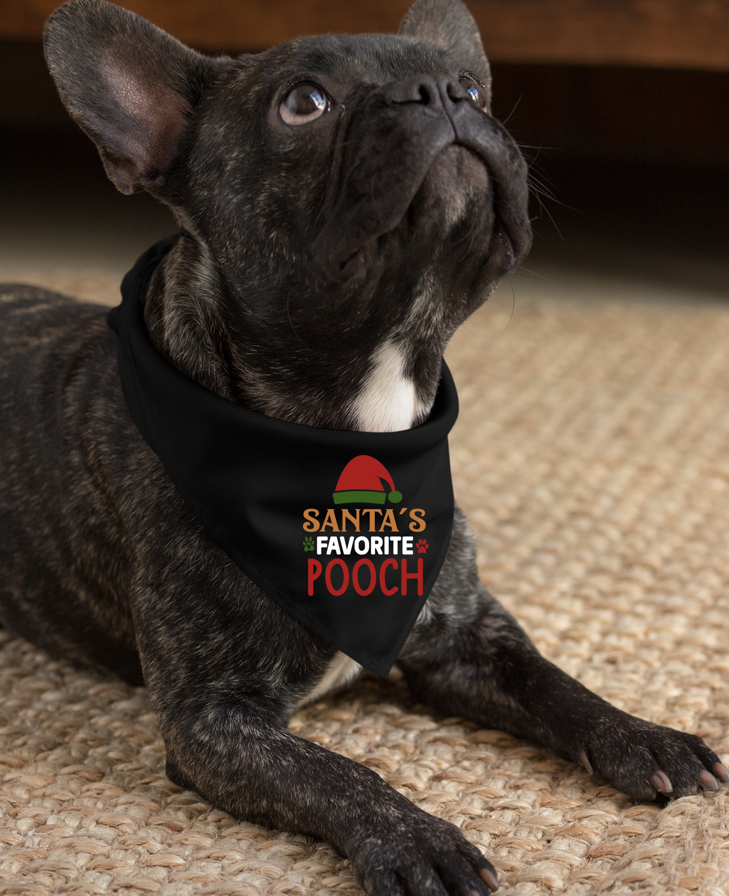 Santa's Favorite Pooch - Festive Dog Bandana