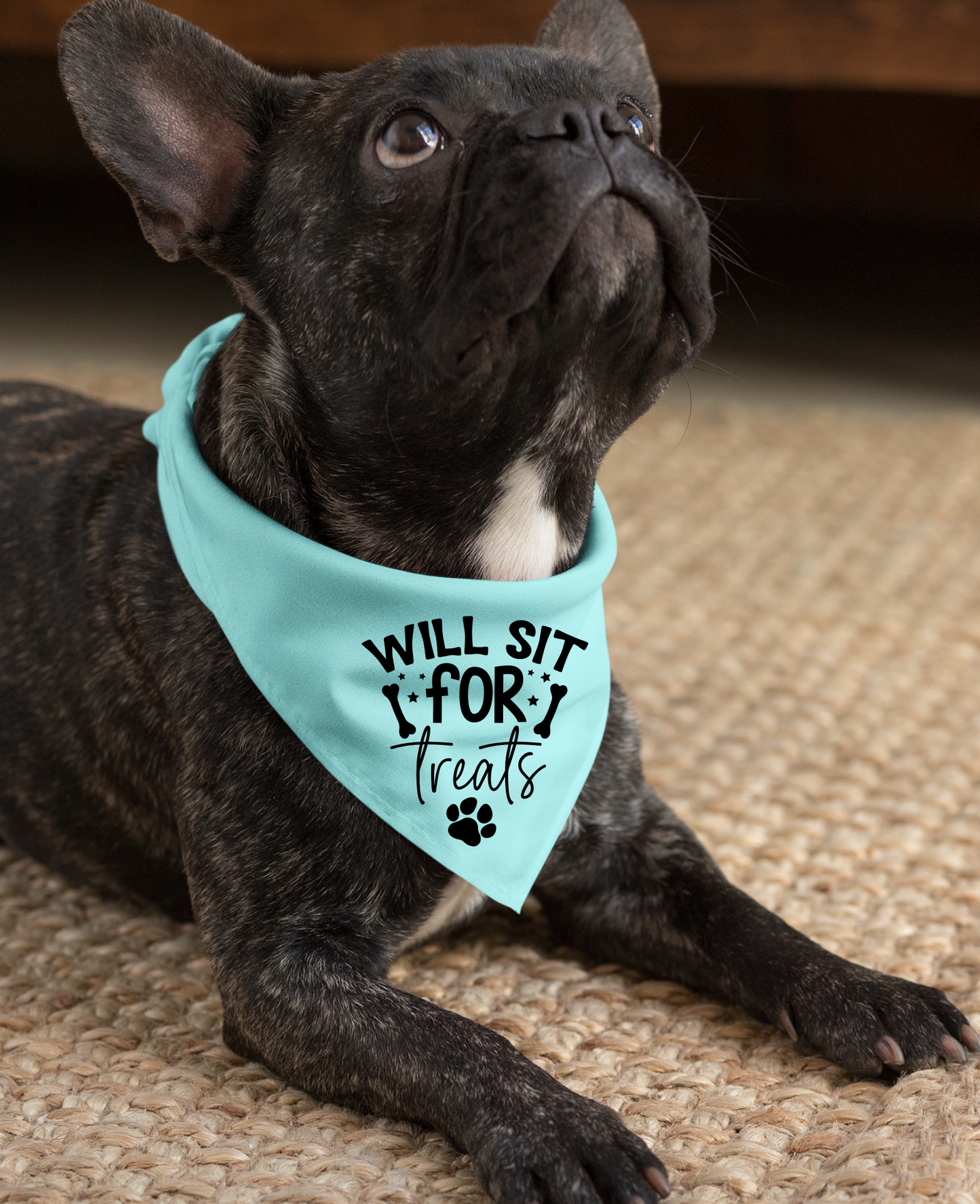 I Will Sit For Treats Dog Bandana | Cute Pet Accessory for Puppies & Dogs