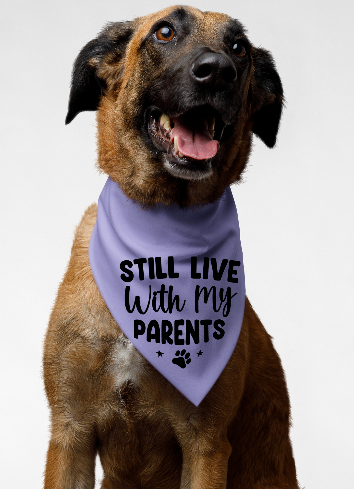 Still Live with My Parents: Detachable Collar Dog Bandana