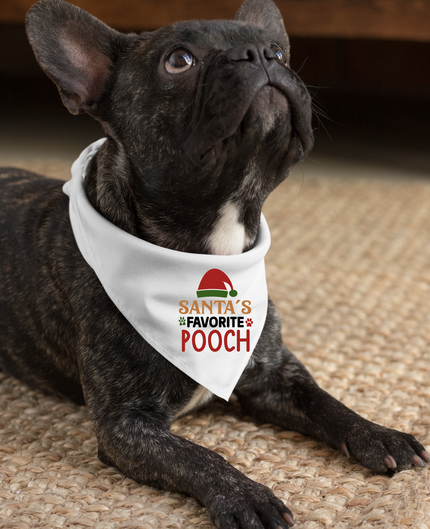 Santa's Favorite Pooch - Festive Dog Bandana