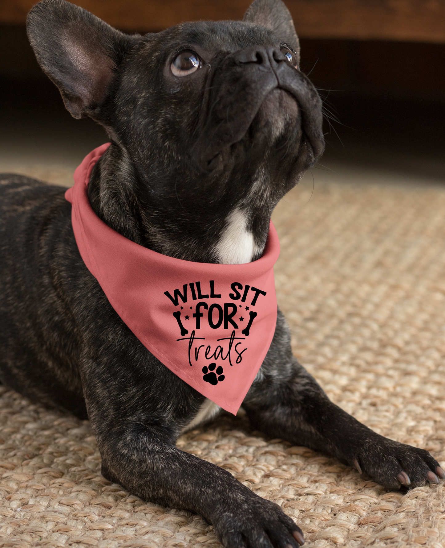 I Will Sit For Treats Dog Bandana | Cute Pet Accessory for Puppies & Dogs