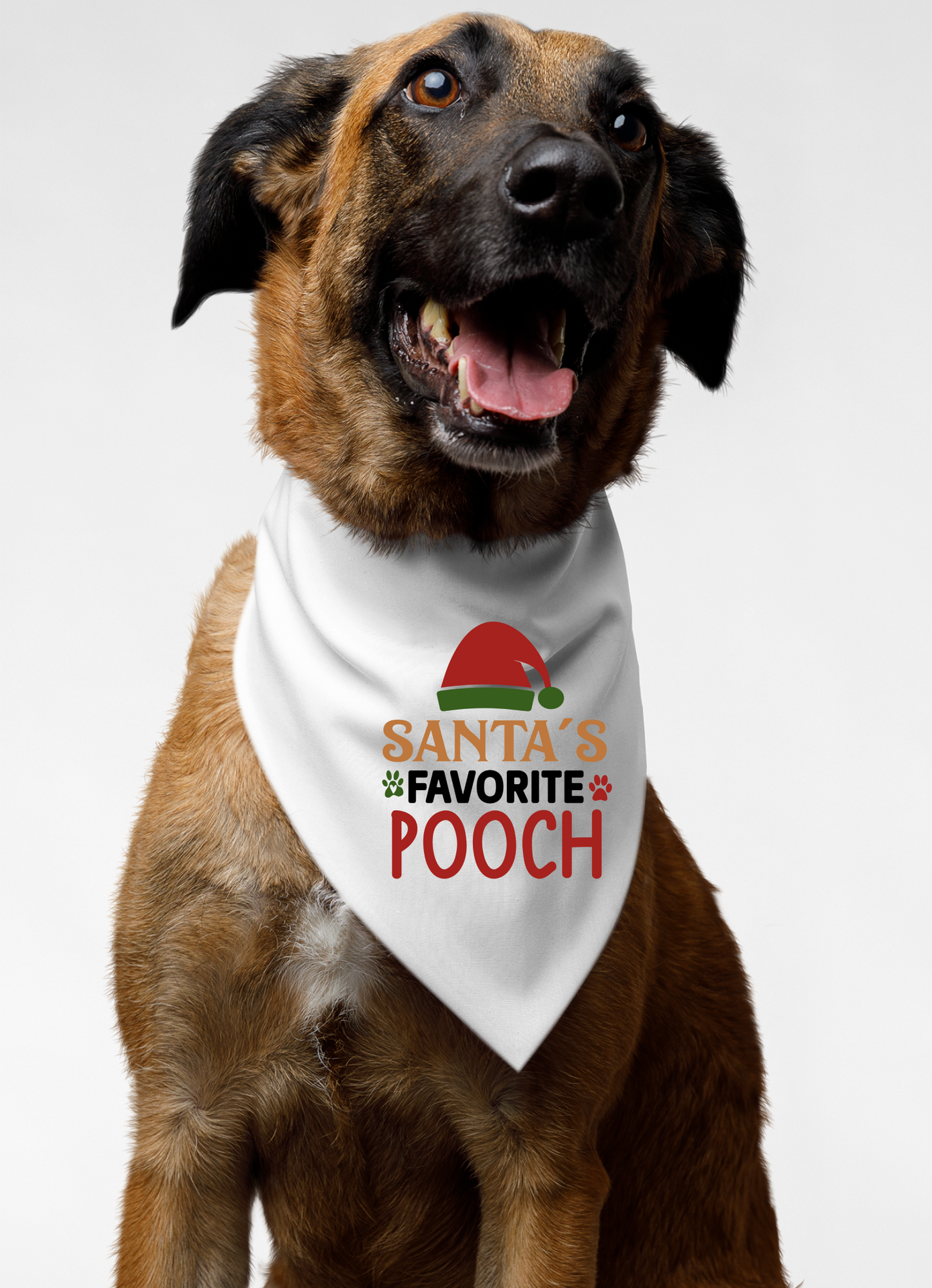 Santa's Favorite Pooch - Festive Dog Bandana