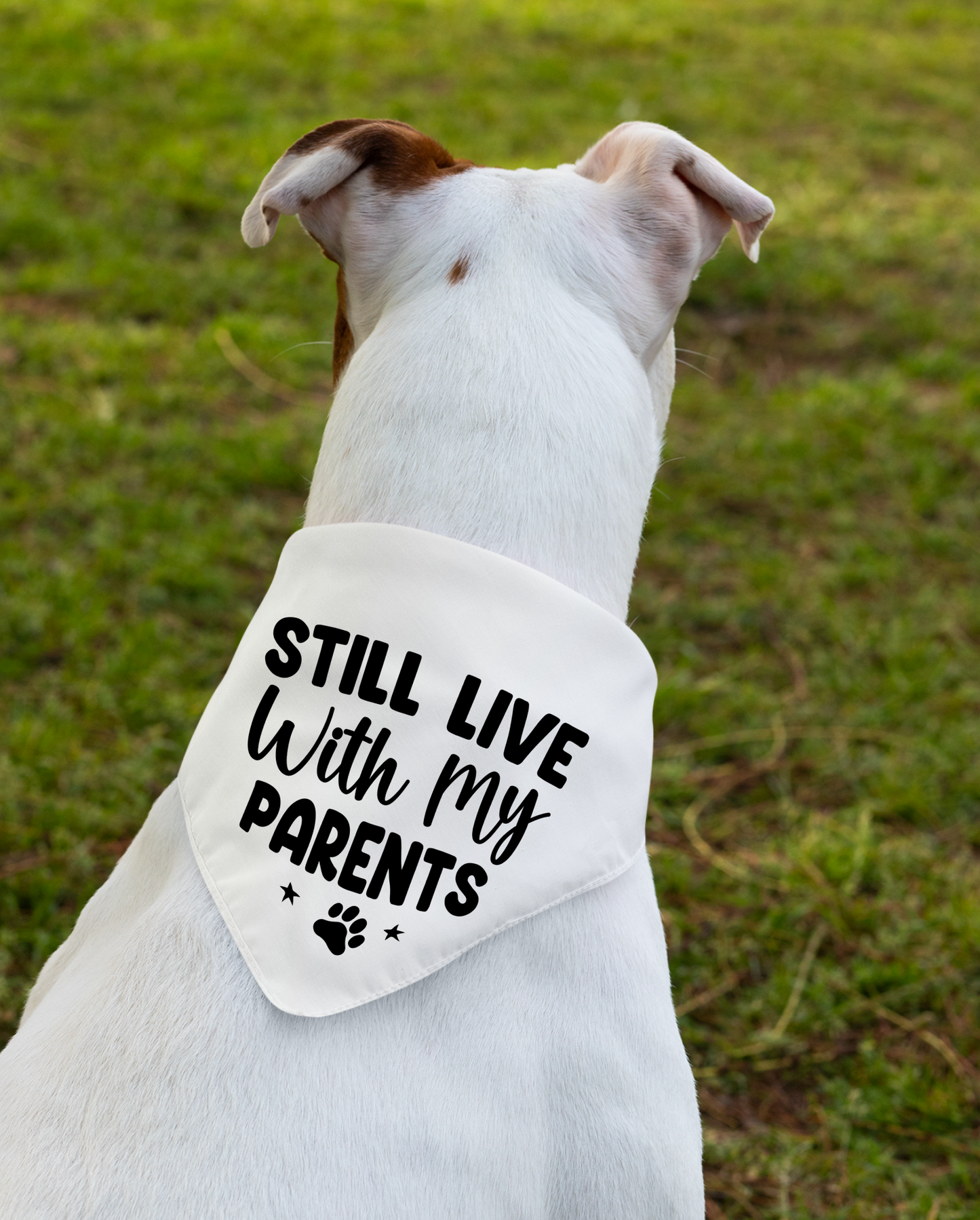 Still Live with My Parents: Detachable Collar Dog Bandana