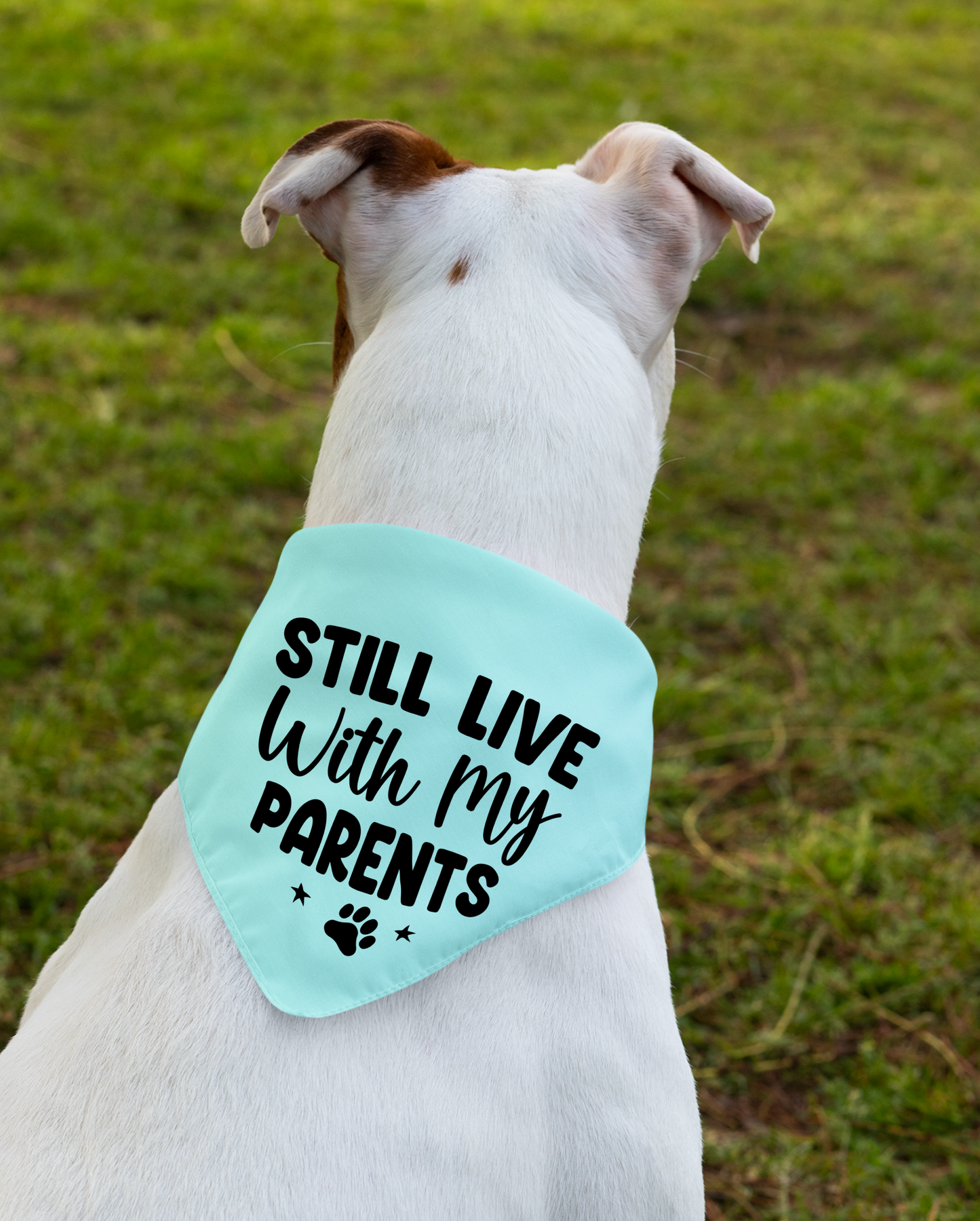 Still Live with My Parents: Detachable Collar Dog Bandana