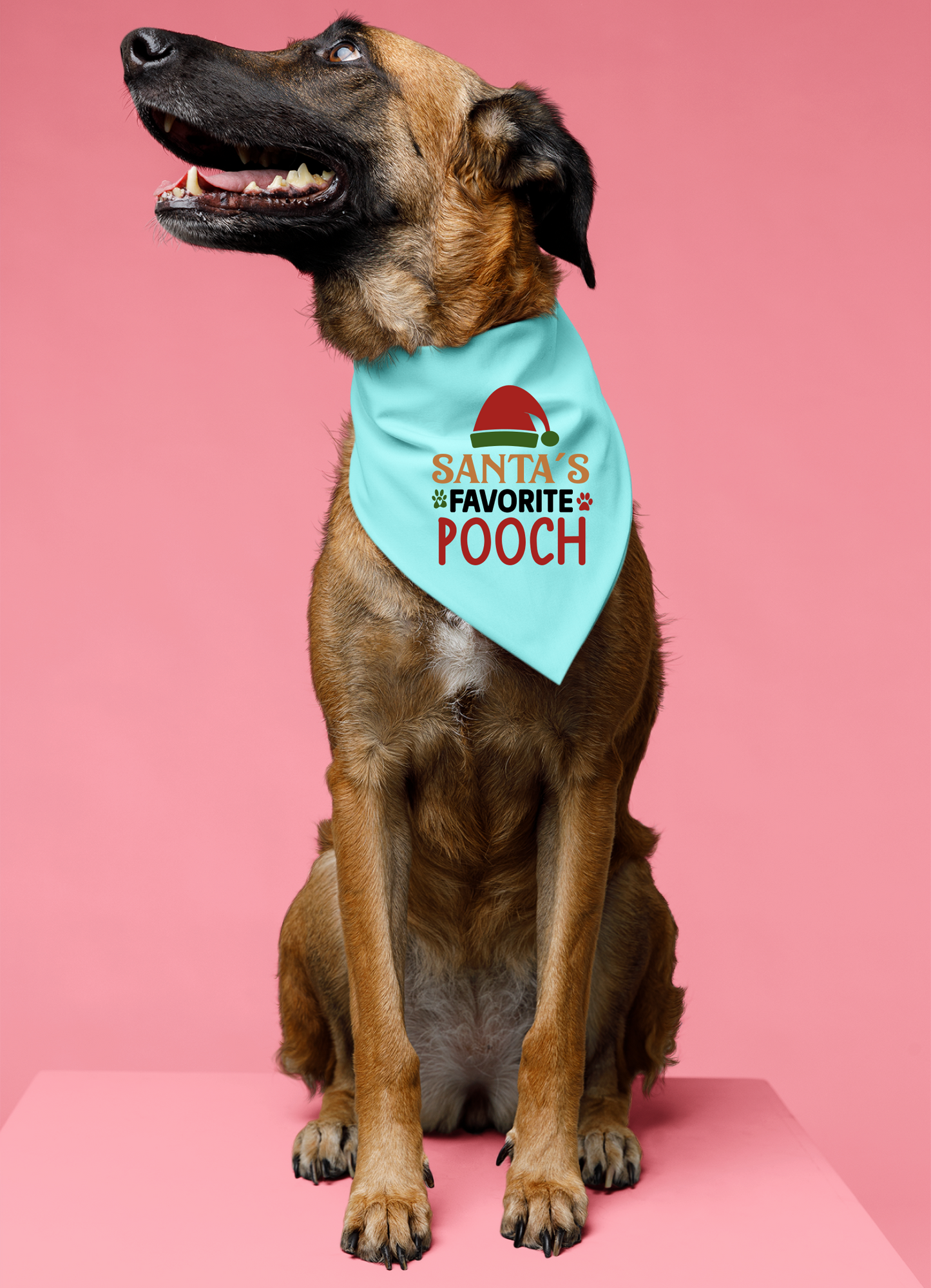 Santa's Favorite Pooch - Festive Dog Bandana