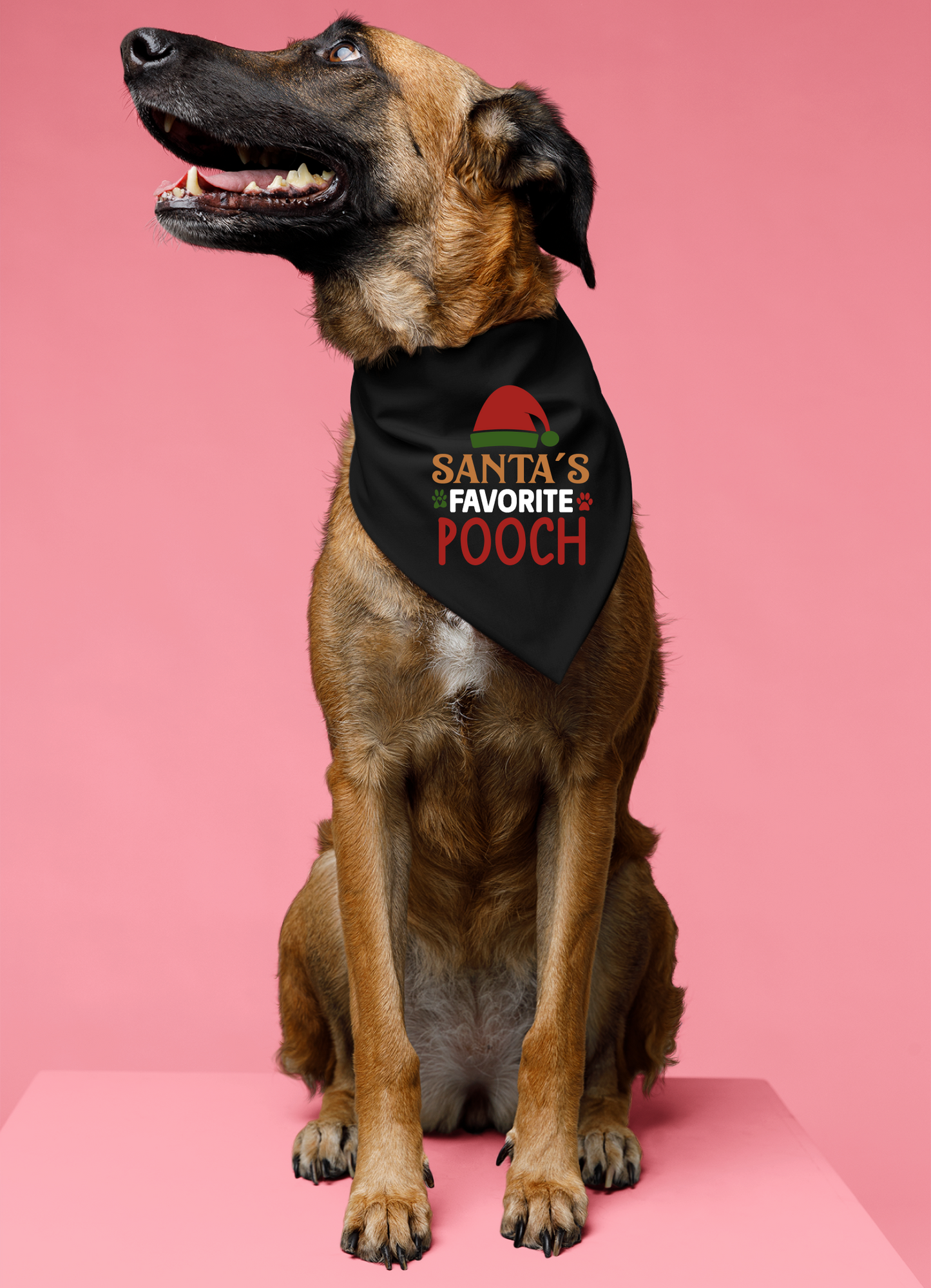 Santa's Favorite Pooch - Festive Dog Bandana