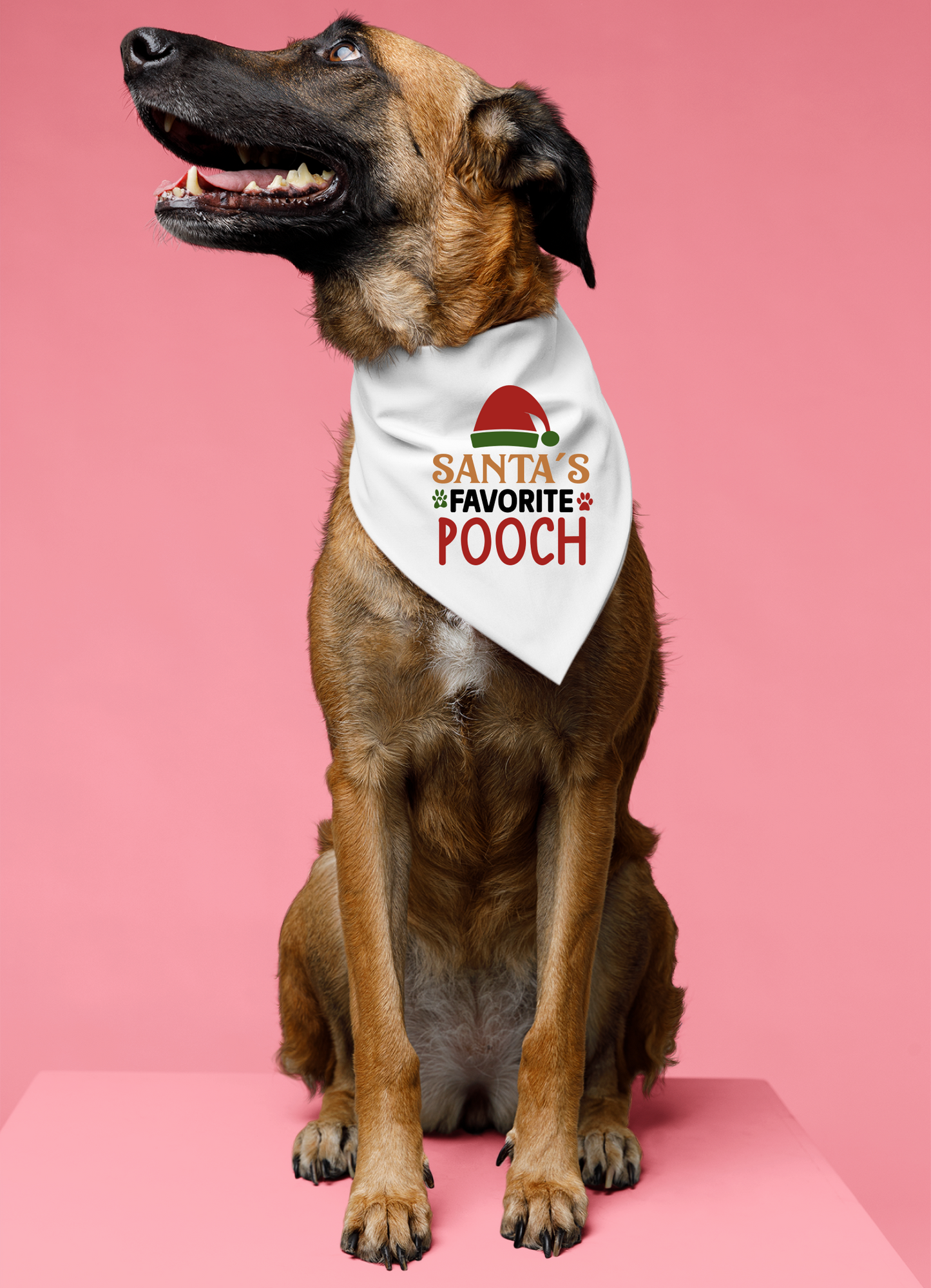 Santa's Favorite Pooch - Festive Dog Bandana