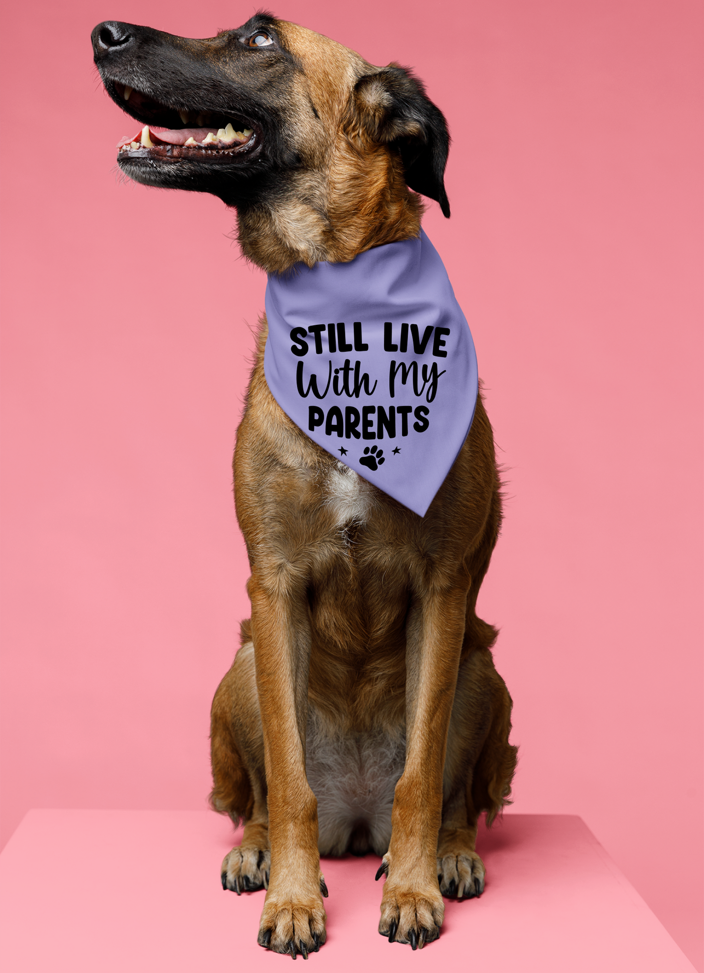 Still Live with My Parents: Detachable Collar Dog Bandana