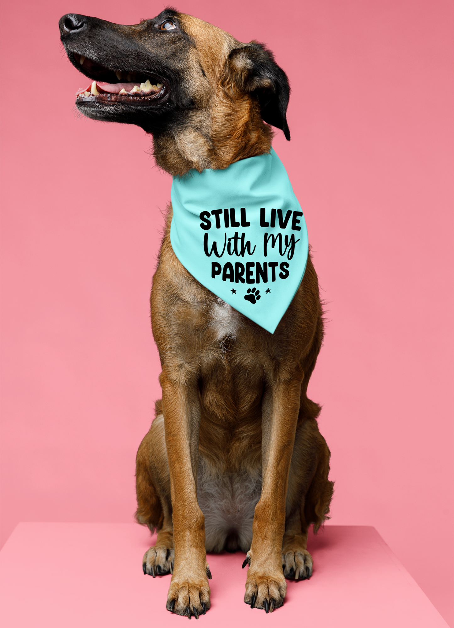 Still Live with My Parents: Detachable Collar Dog Bandana