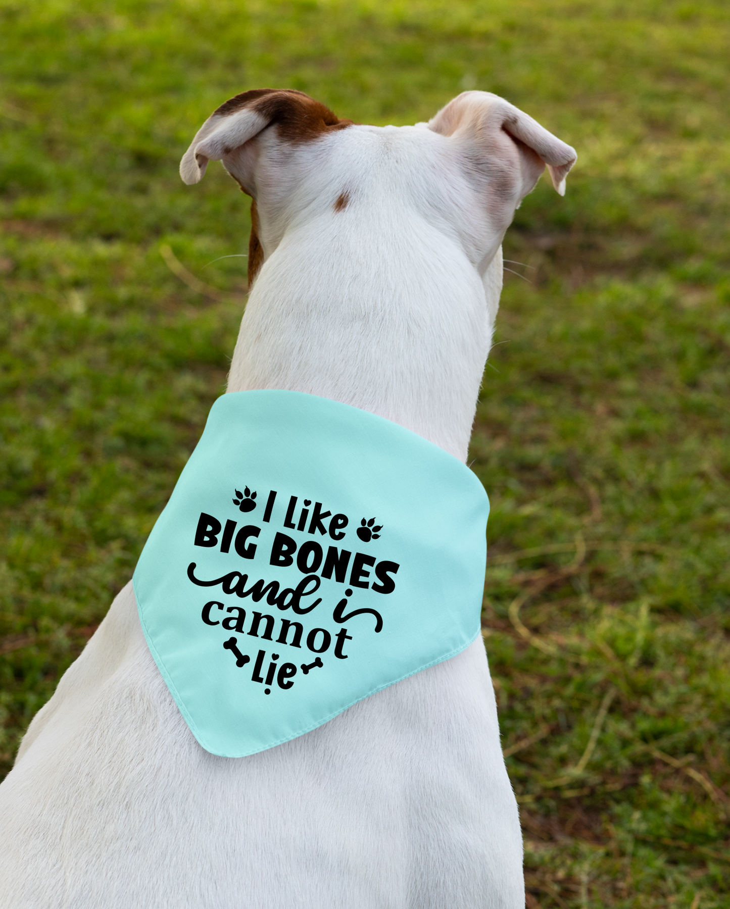 I Like Big Bones and I Cannot Lie: Detachable Collar Dog Bandana