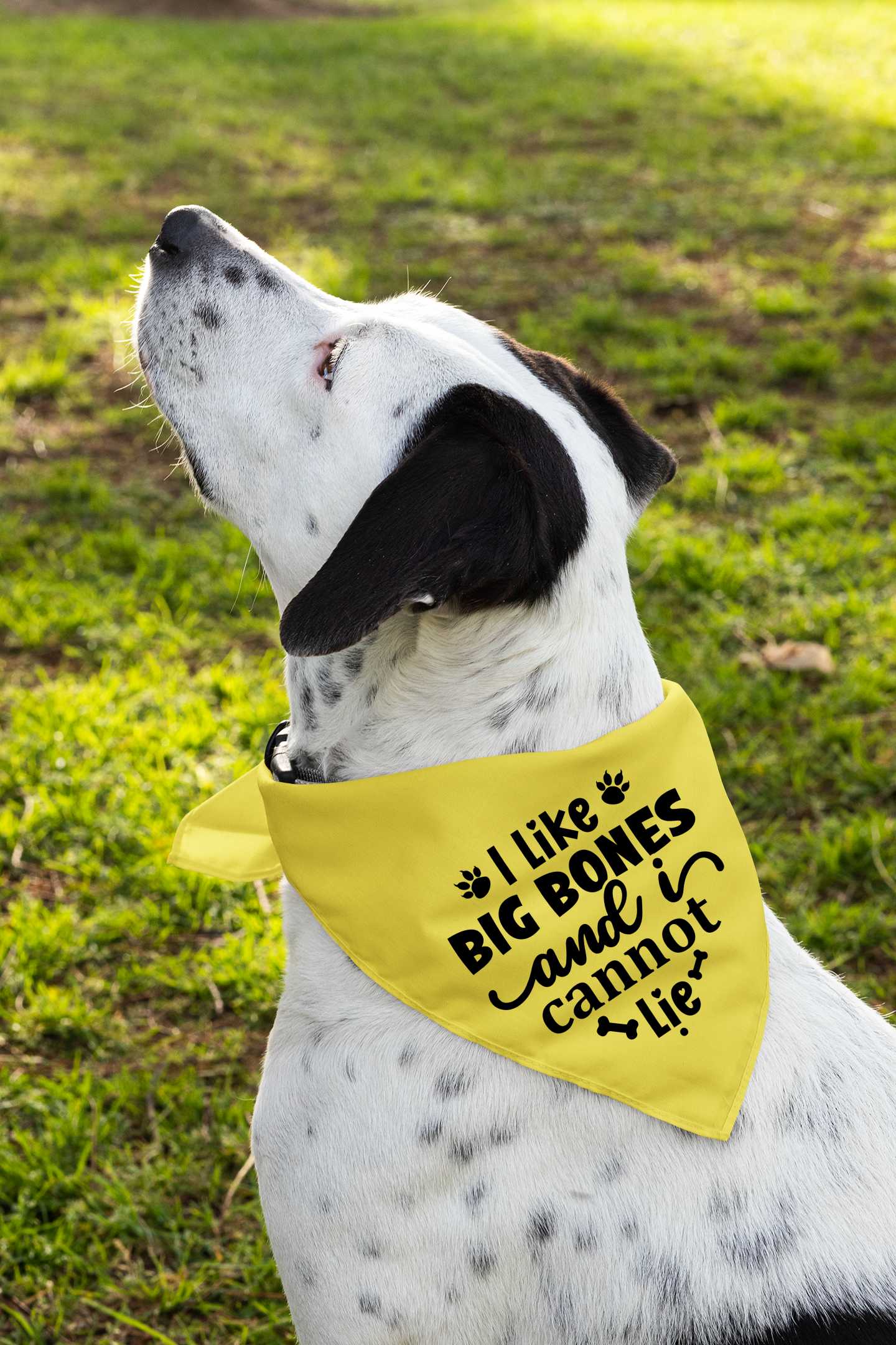 I Like Big Bones and I Cannot Lie: Detachable Collar Dog Bandana