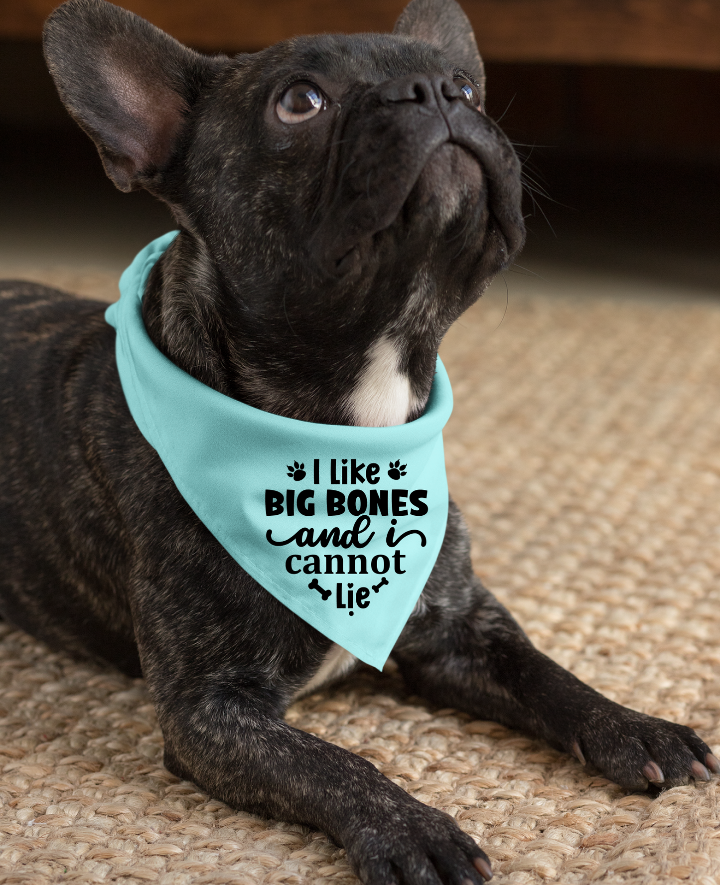 I Like Big Bones and I Cannot Lie: Detachable Collar Dog Bandana
