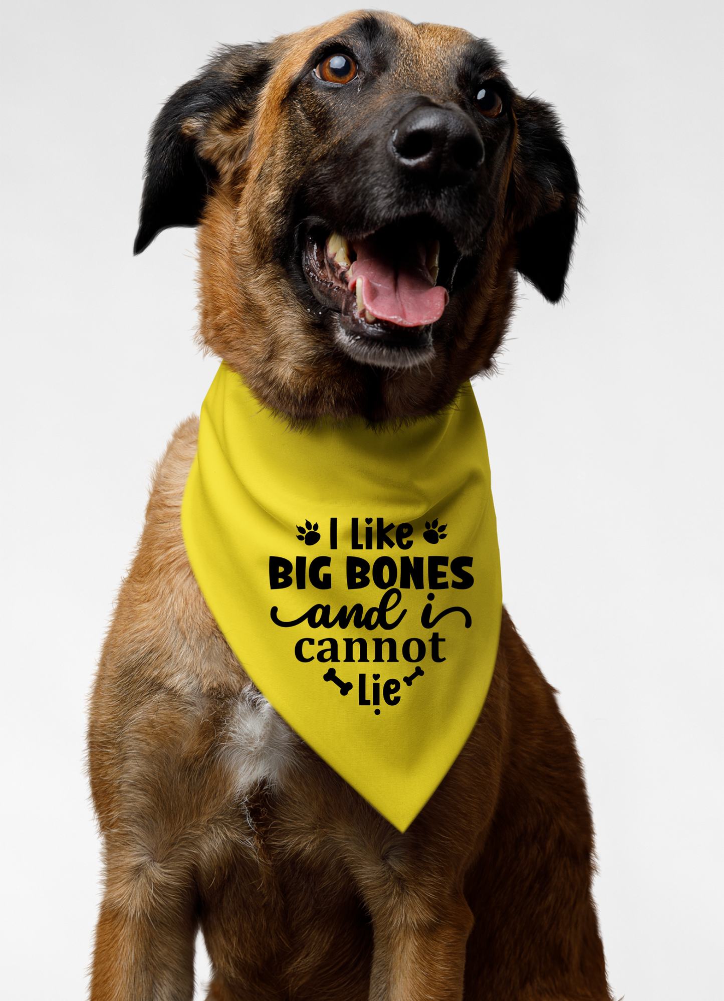 I Like Big Bones and I Cannot Lie: Detachable Collar Dog Bandana