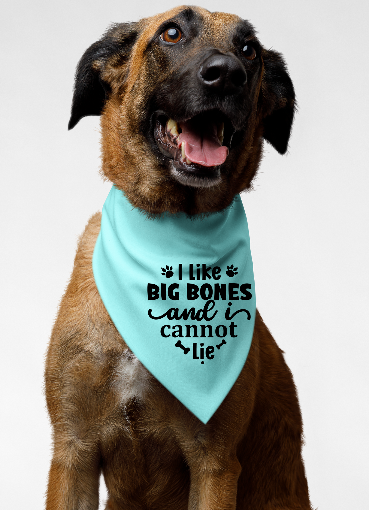 I Like Big Bones and I Cannot Lie: Detachable Collar Dog Bandana
