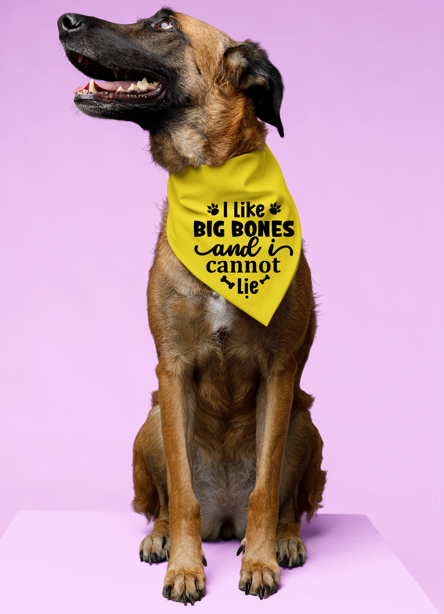 I Like Big Bones and I Cannot Lie: Detachable Collar Dog Bandana