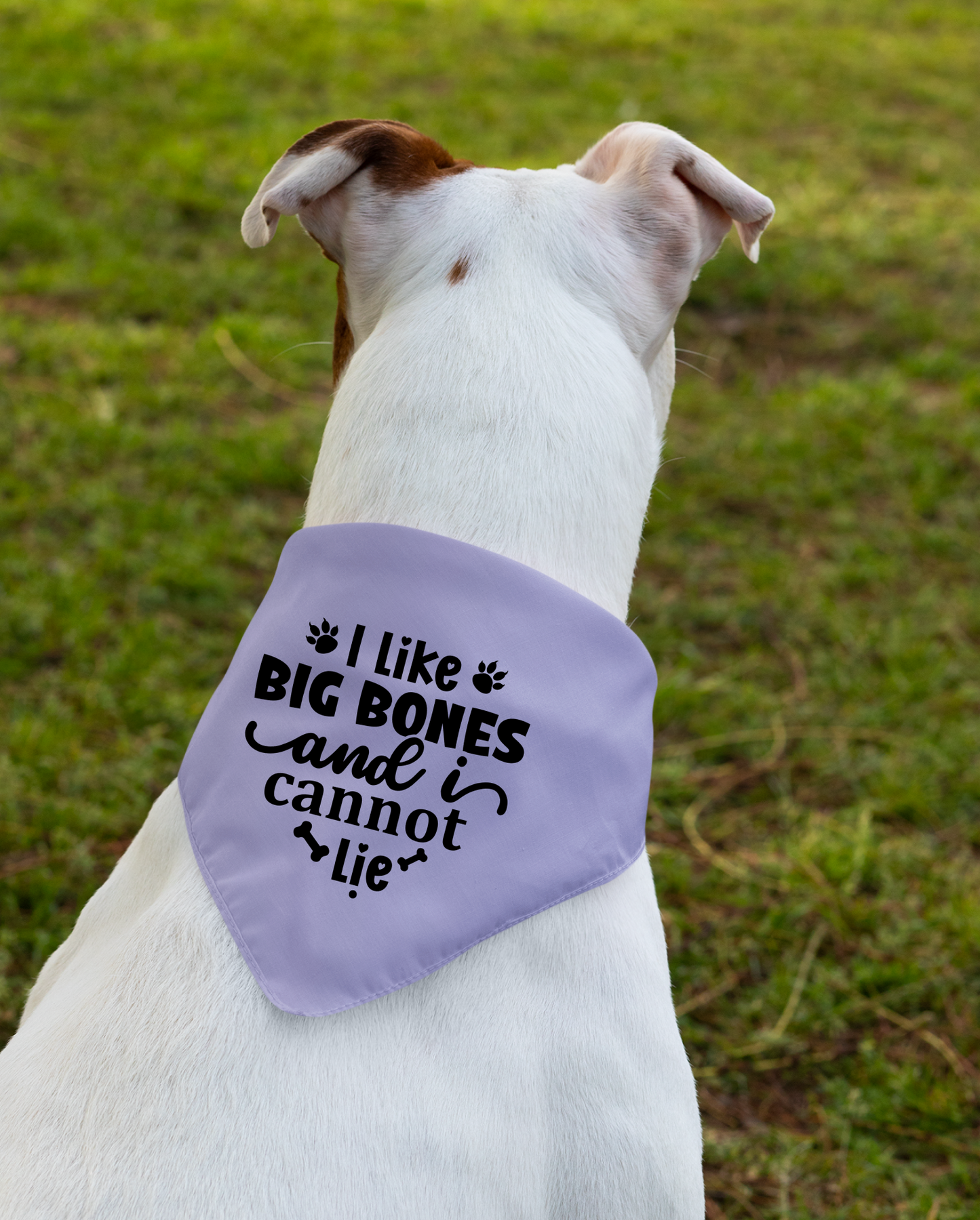 I Like Big Bones and I Cannot Lie: Detachable Collar Dog Bandana