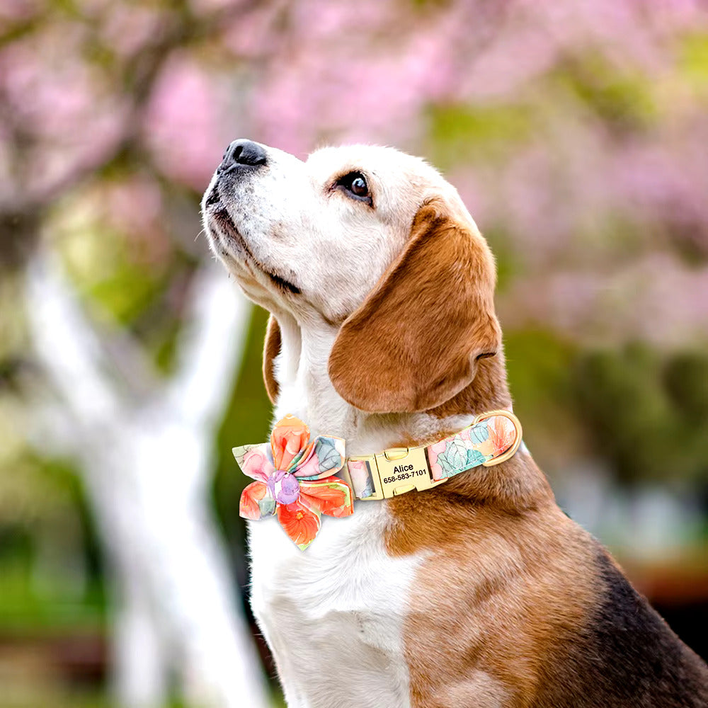 Ultimate Comfort Pet Collar – Adjustable & Durable Design
