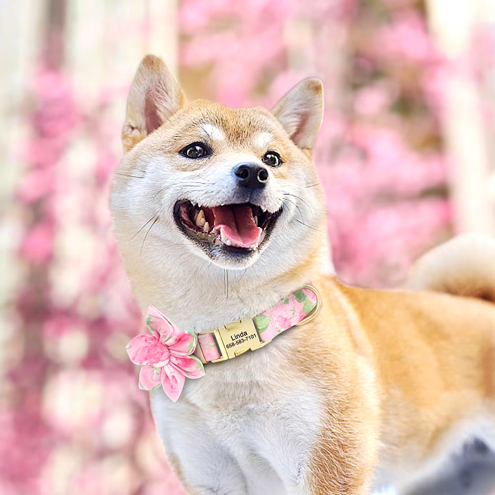 Ultimate Comfort Pet Collar – Adjustable & Durable Design