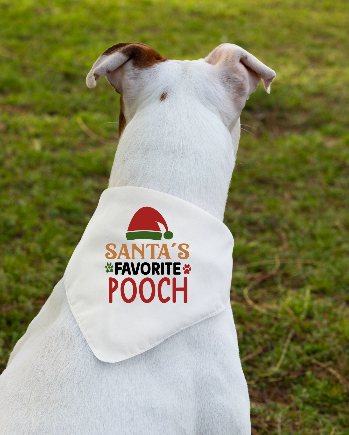 Santa's Favorite Pooch - Festive Dog Bandana