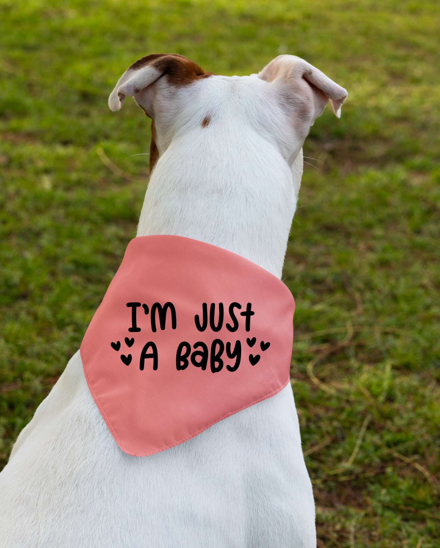 I Am Just a Baby Dog Bandana | Cute Pet Accessory for Puppies & Dogs