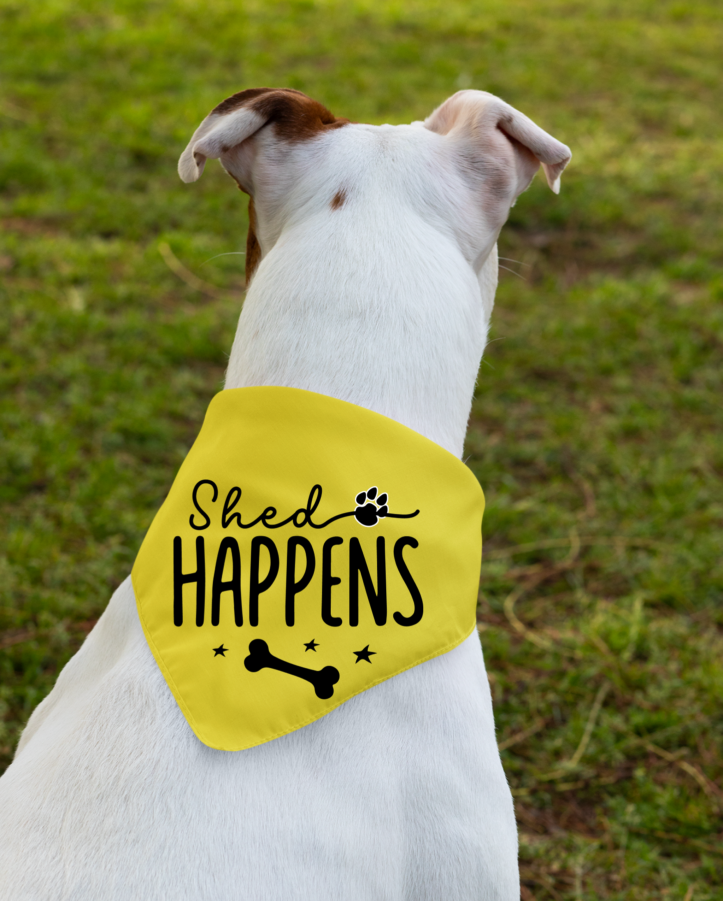 Shed Happens: Detachable Collar Dog Bandana