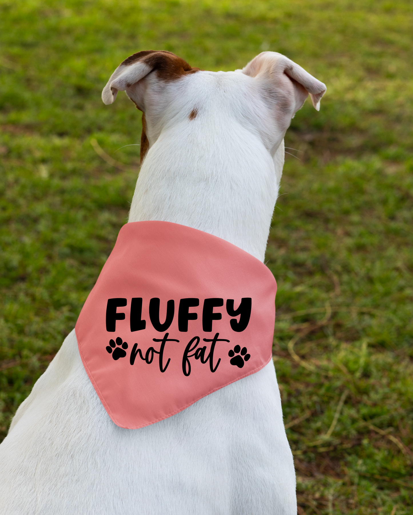 Fluffy Not Fat: Detachable Collar Dog Bandana