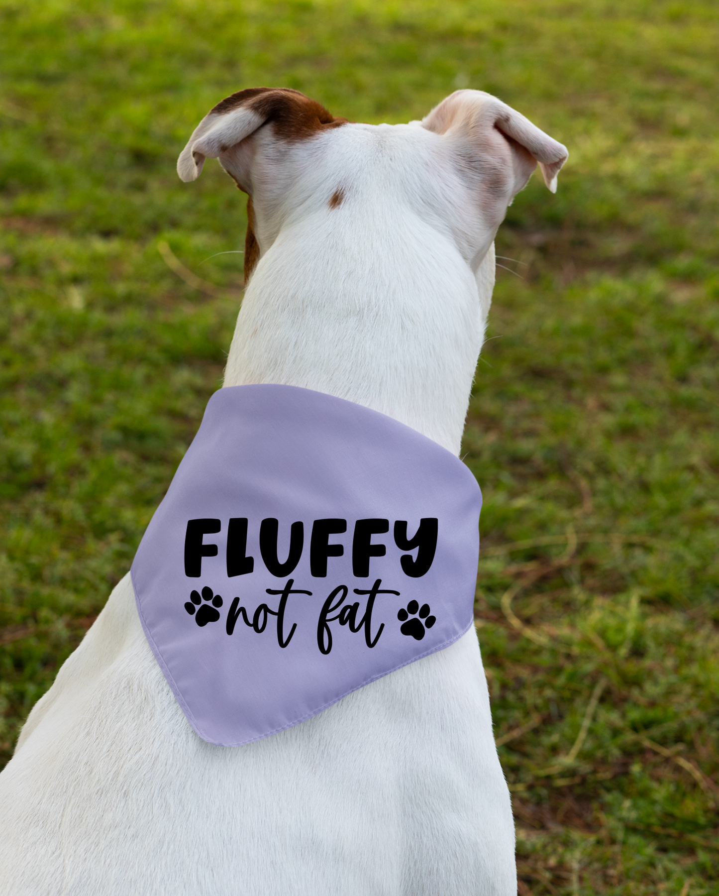 Fluffy Not Fat: Detachable Collar Dog Bandana