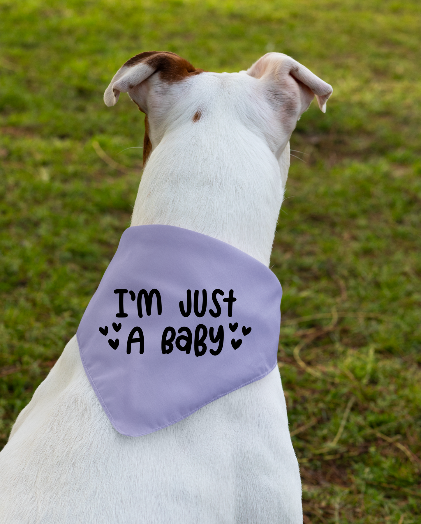 I Am Just a Baby Dog Bandana | Cute Pet Accessory for Puppies & Dogs