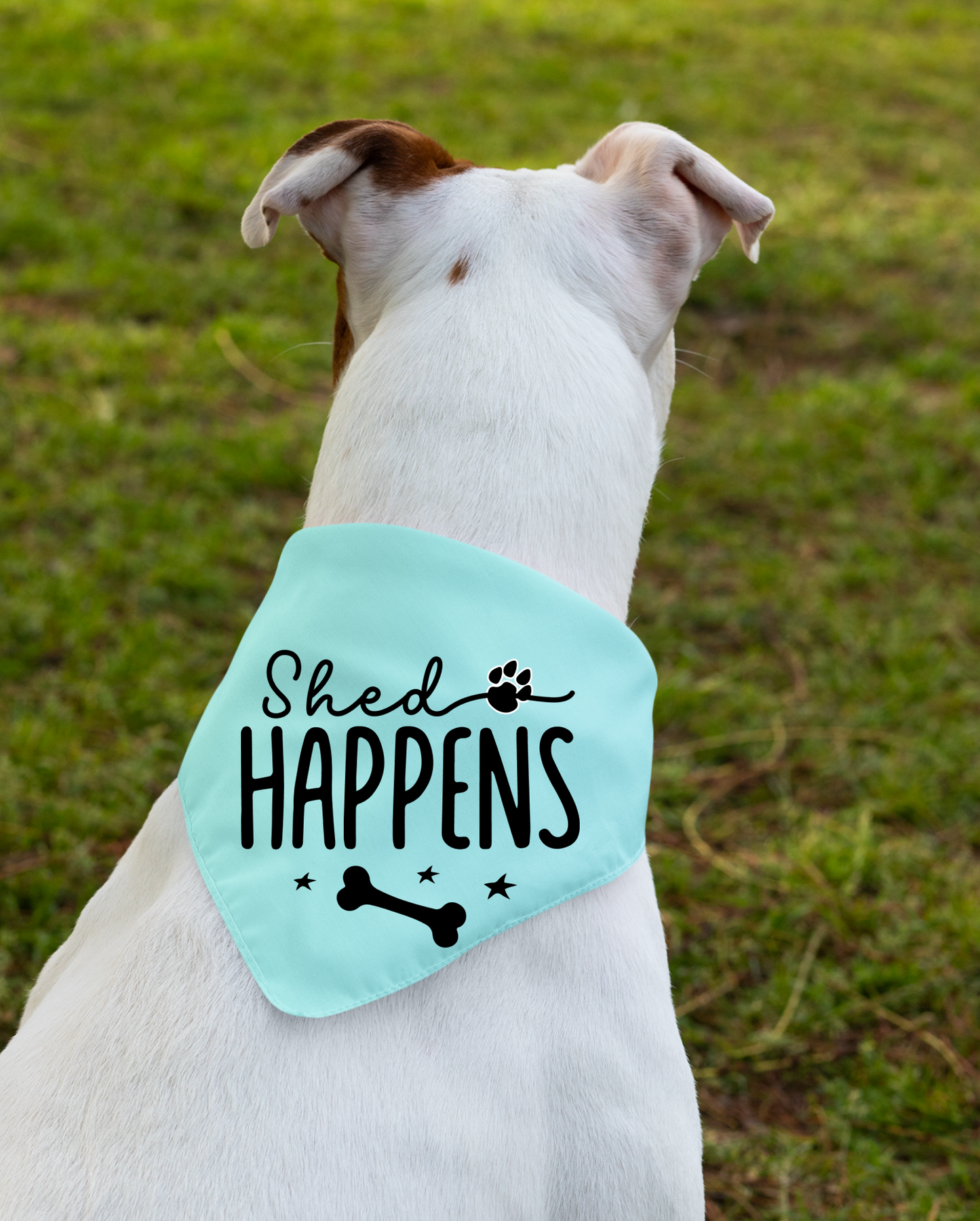 Shed Happens: Detachable Collar Dog Bandana