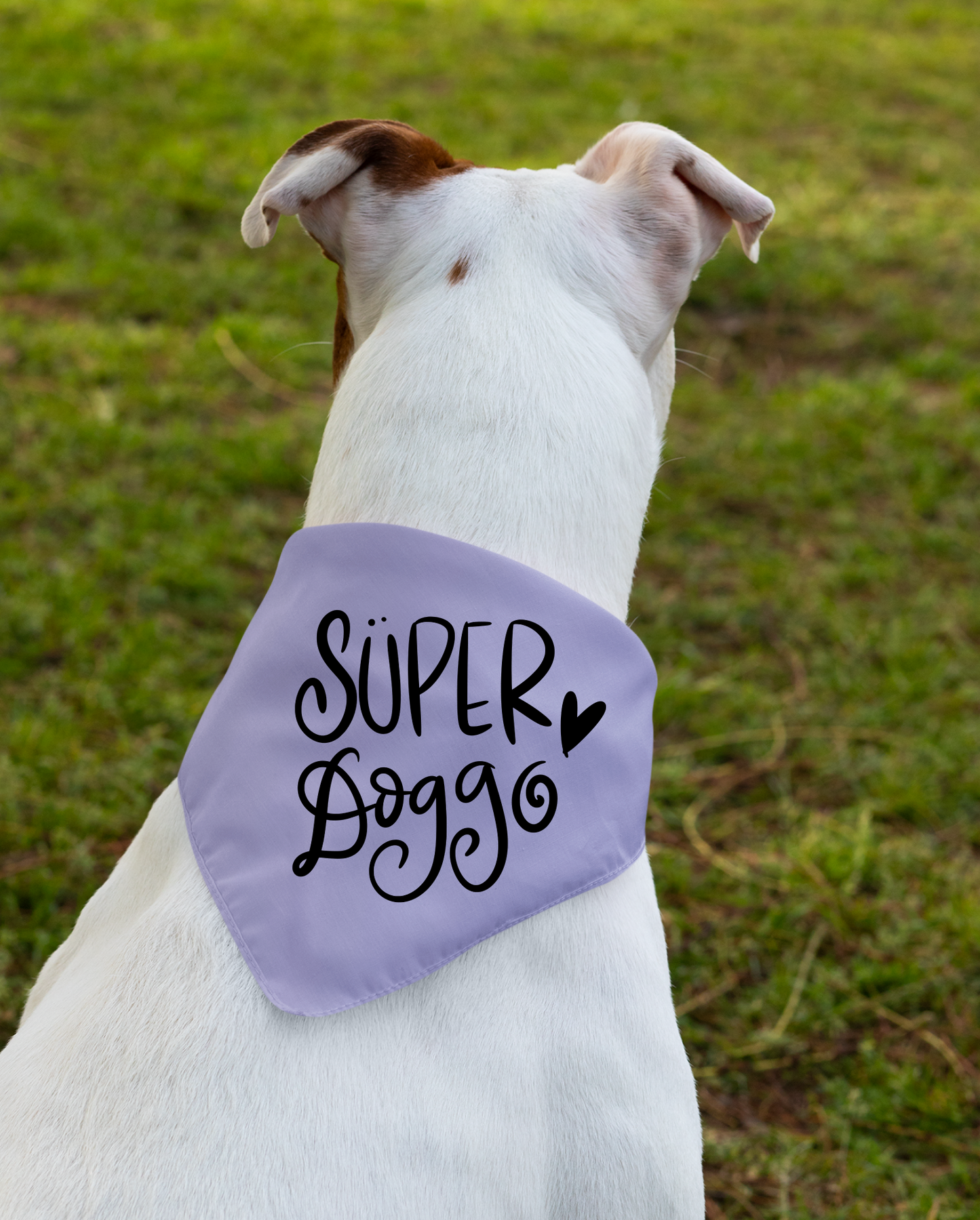 Super Doggo Dog Banda  | Cute Pet Accessory for Puppies & Dogs