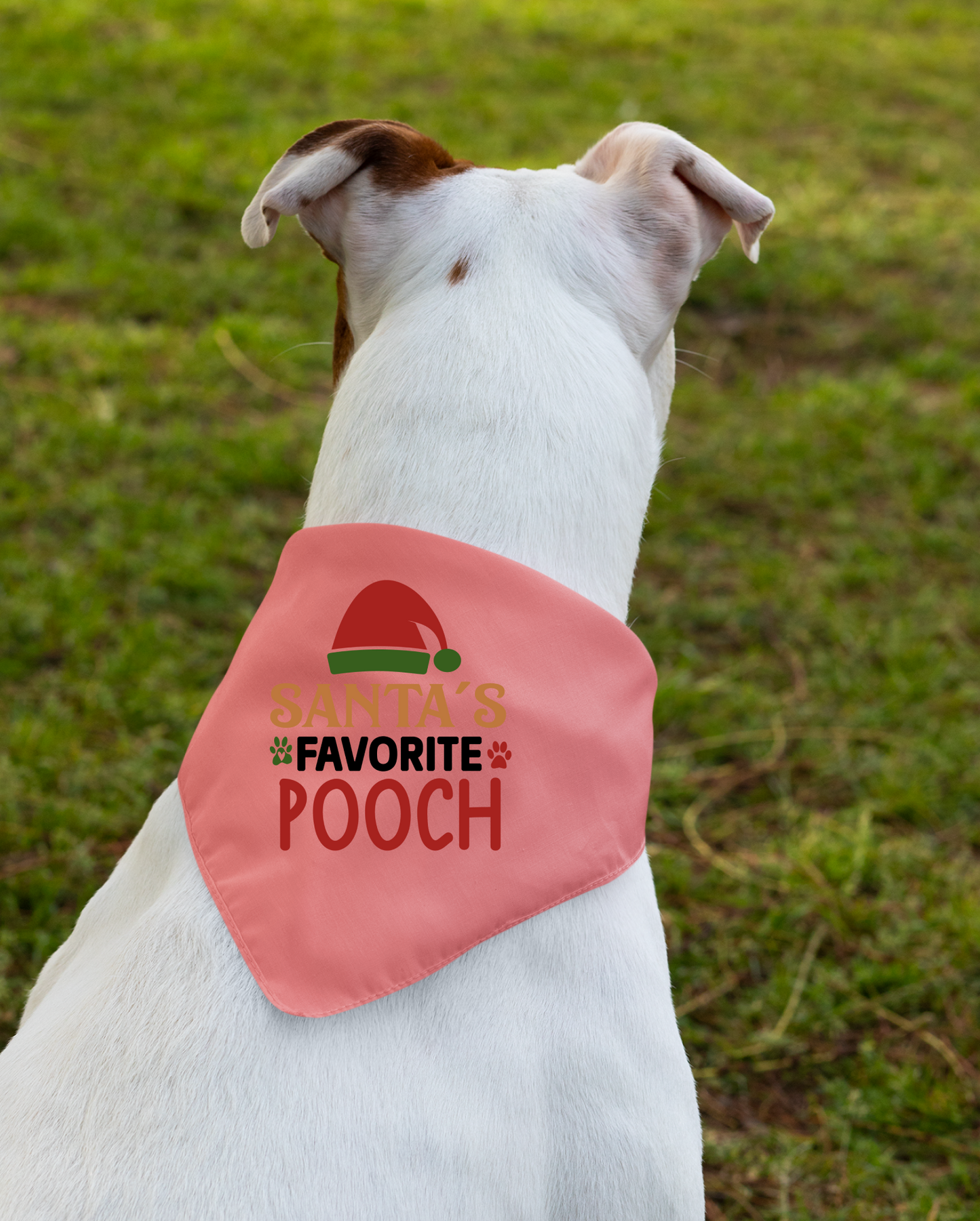 Santa's Favorite Pooch - Festive Dog Bandana