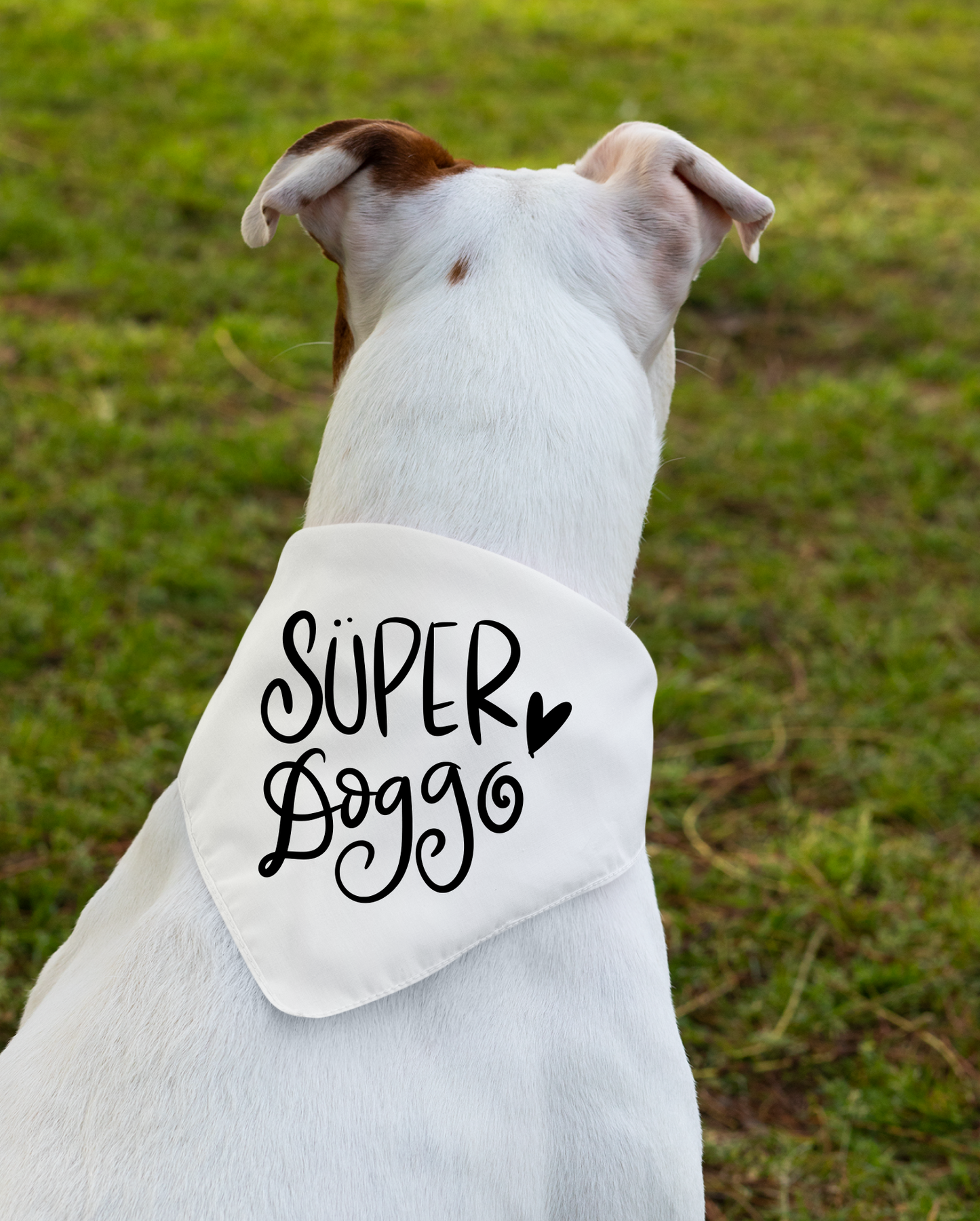 Super Doggo Dog Banda  | Cute Pet Accessory for Puppies & Dogs