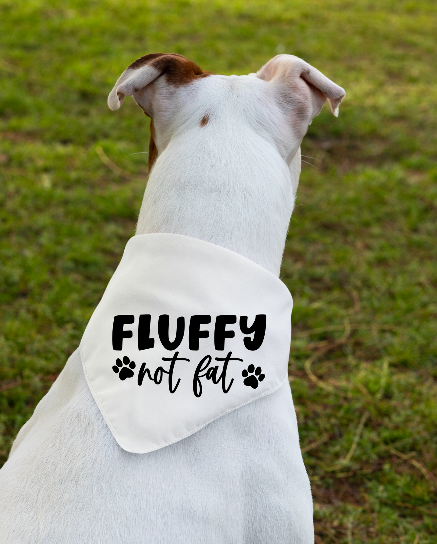 Fluffy Not Fat: Detachable Collar Dog Bandana