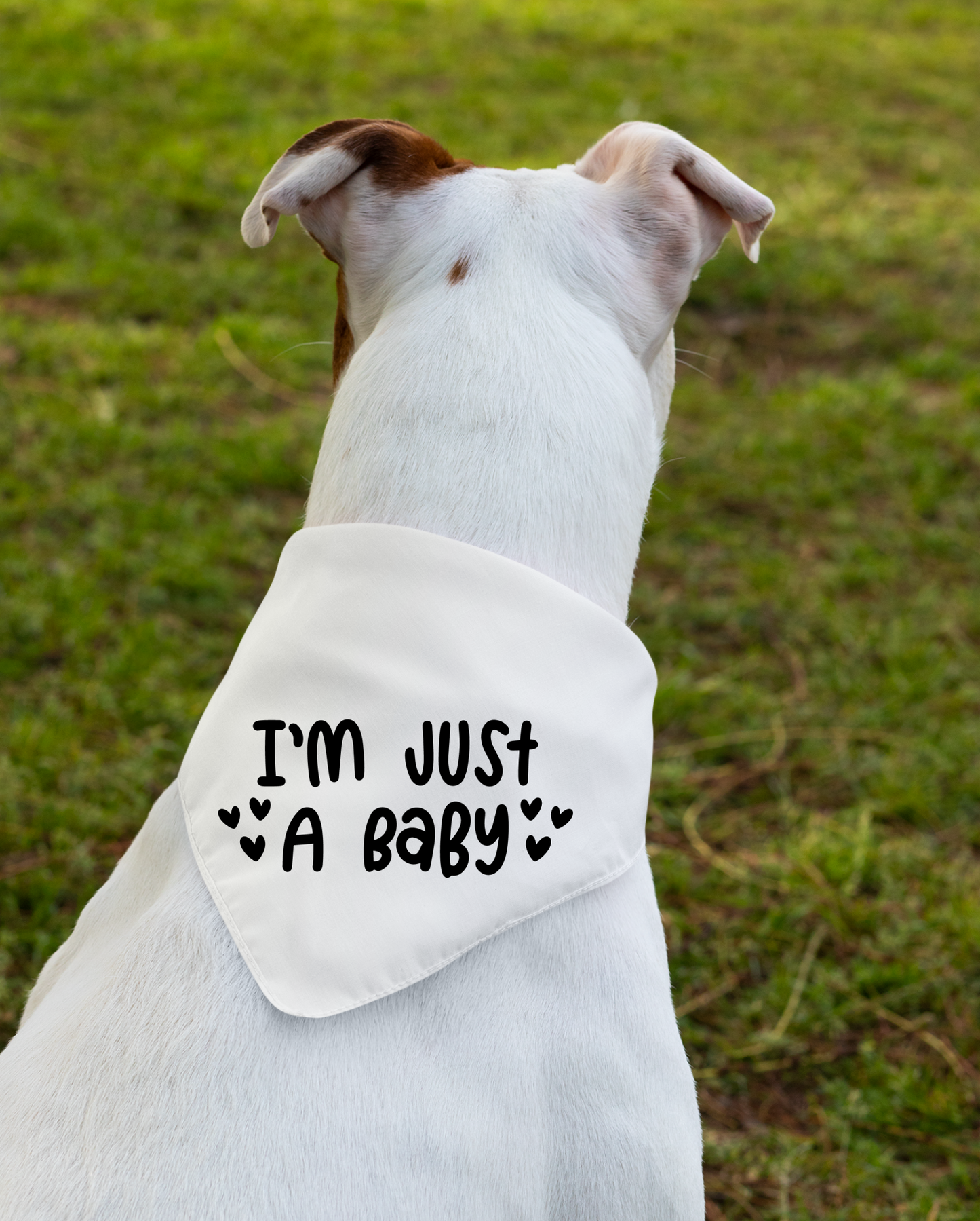 I Am Just a Baby Dog Bandana | Cute Pet Accessory for Puppies & Dogs