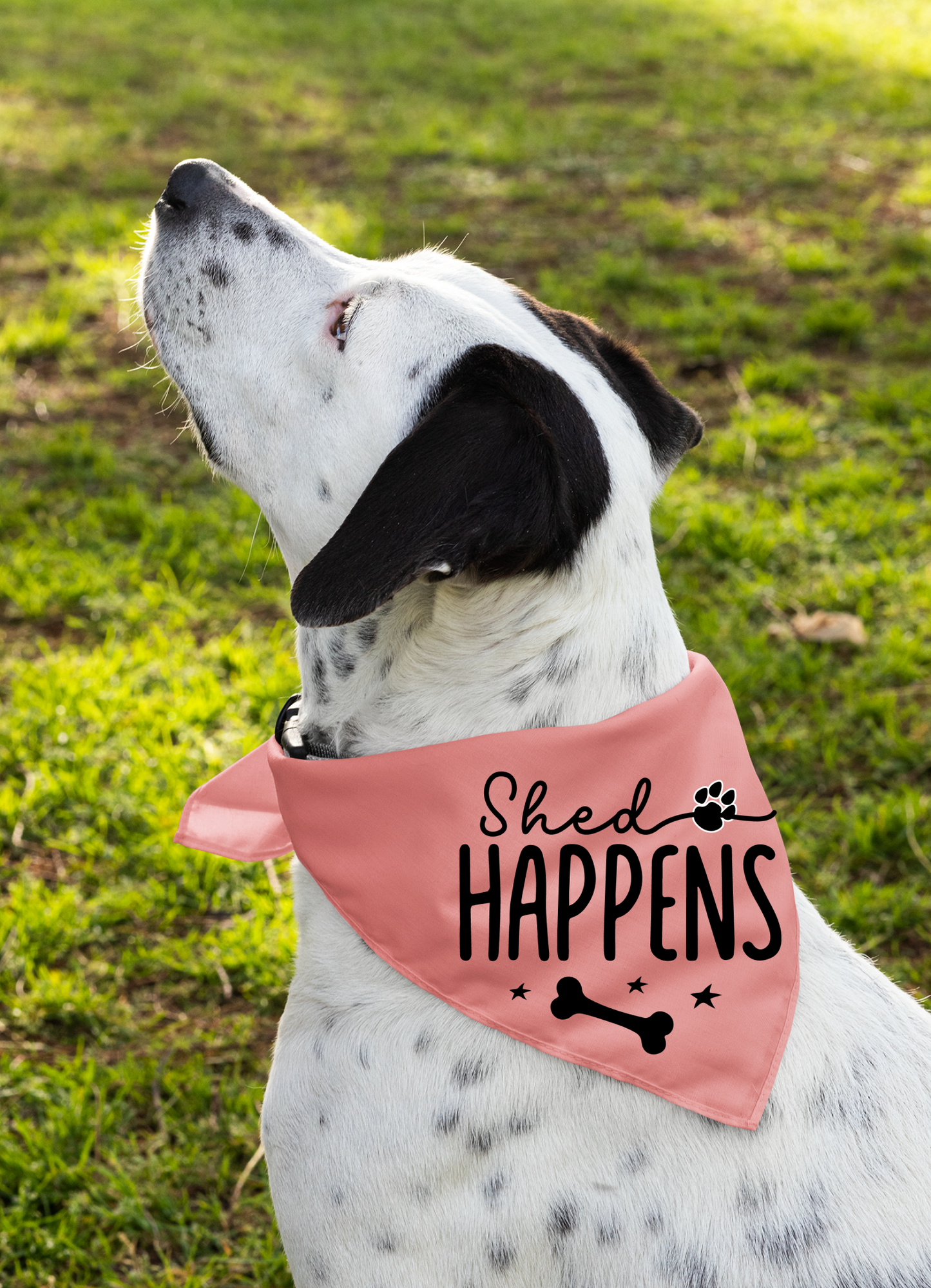 Shed Happens: Detachable Collar Dog Bandana