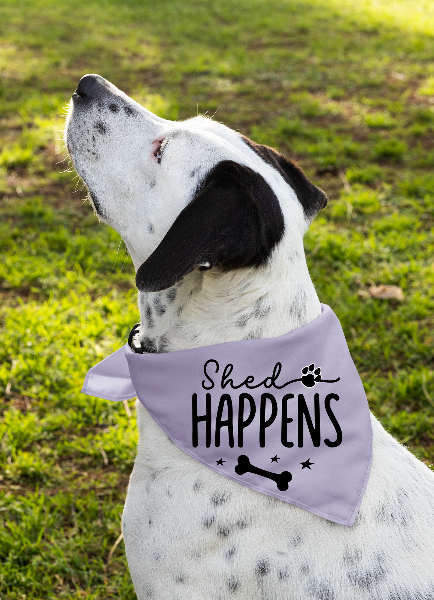 Shed Happens: Detachable Collar Dog Bandana