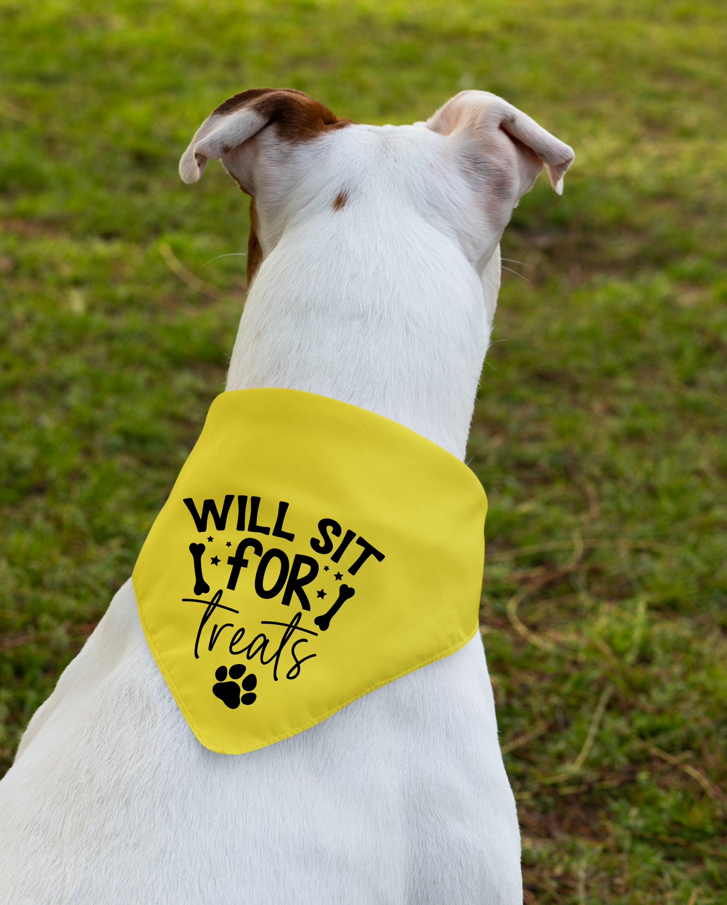 I Will Sit For Treats Dog Bandana | Cute Pet Accessory for Puppies & Dogs