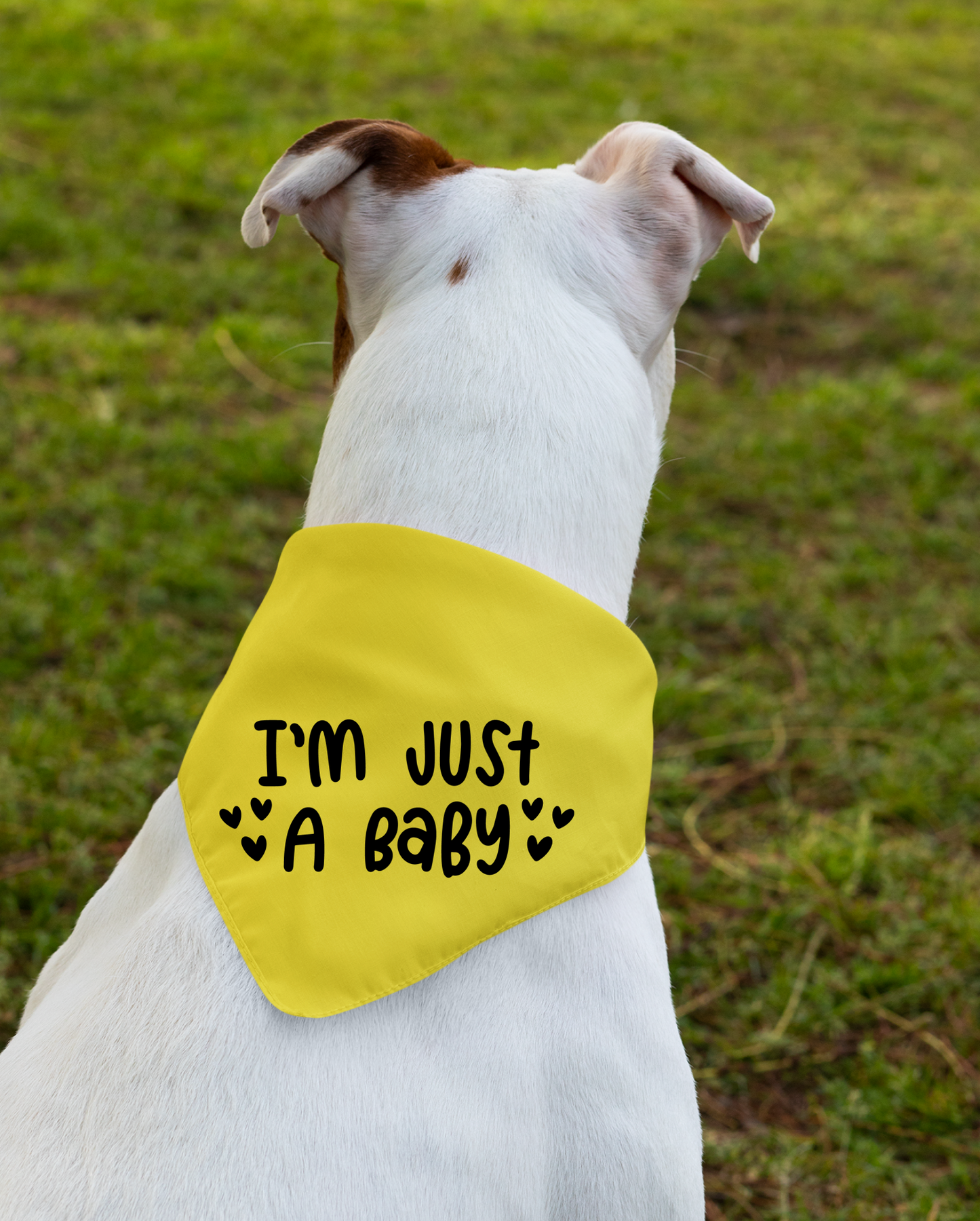I Am Just a Baby Dog Bandana | Cute Pet Accessory for Puppies & Dogs